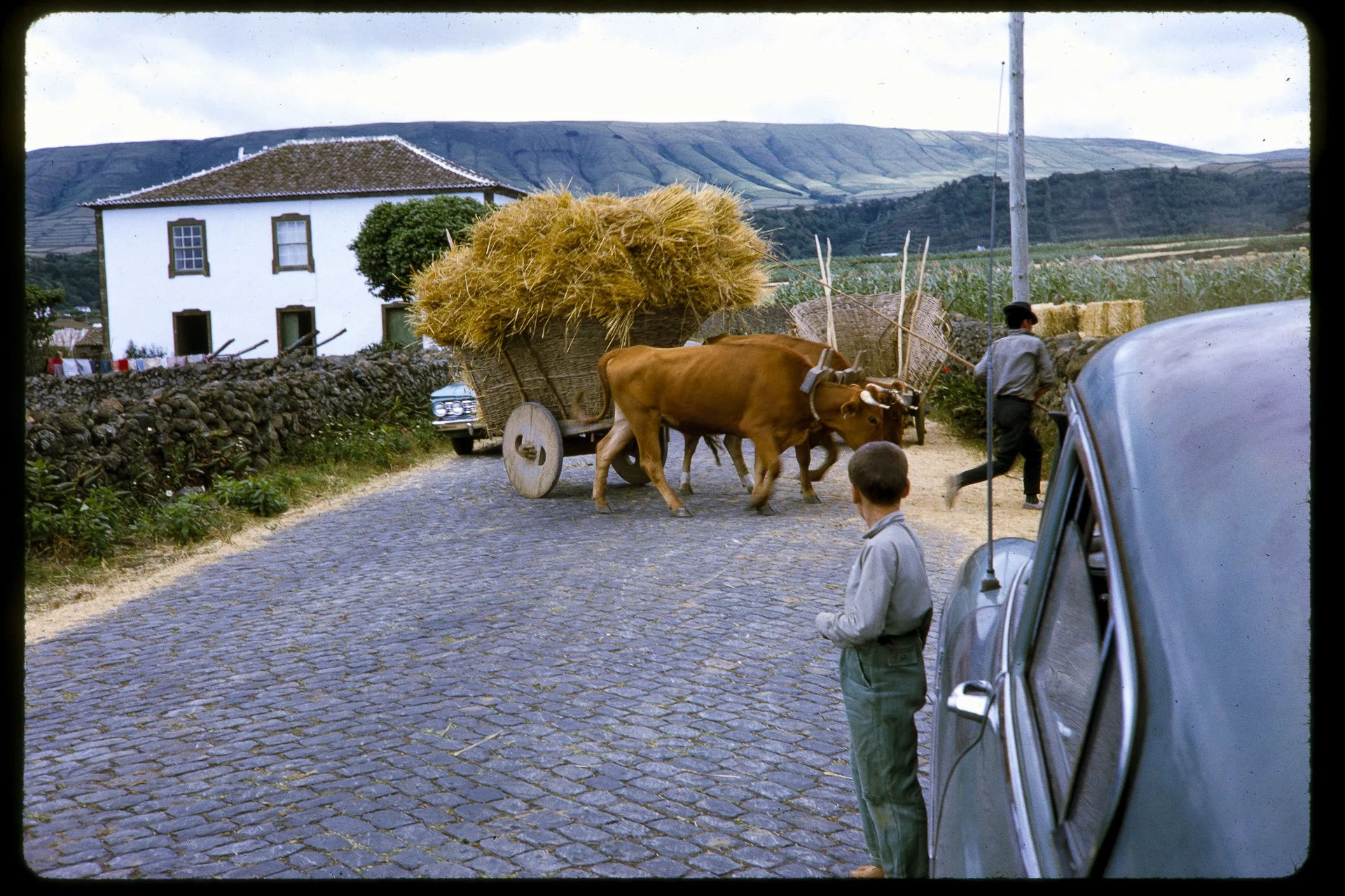 Slide Collection 4