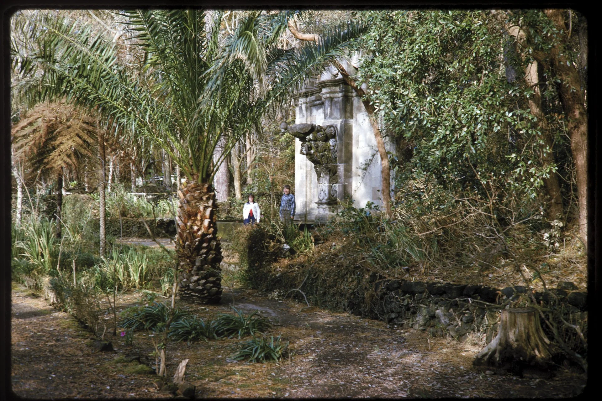 DA_Slide_C7-0117.jpg