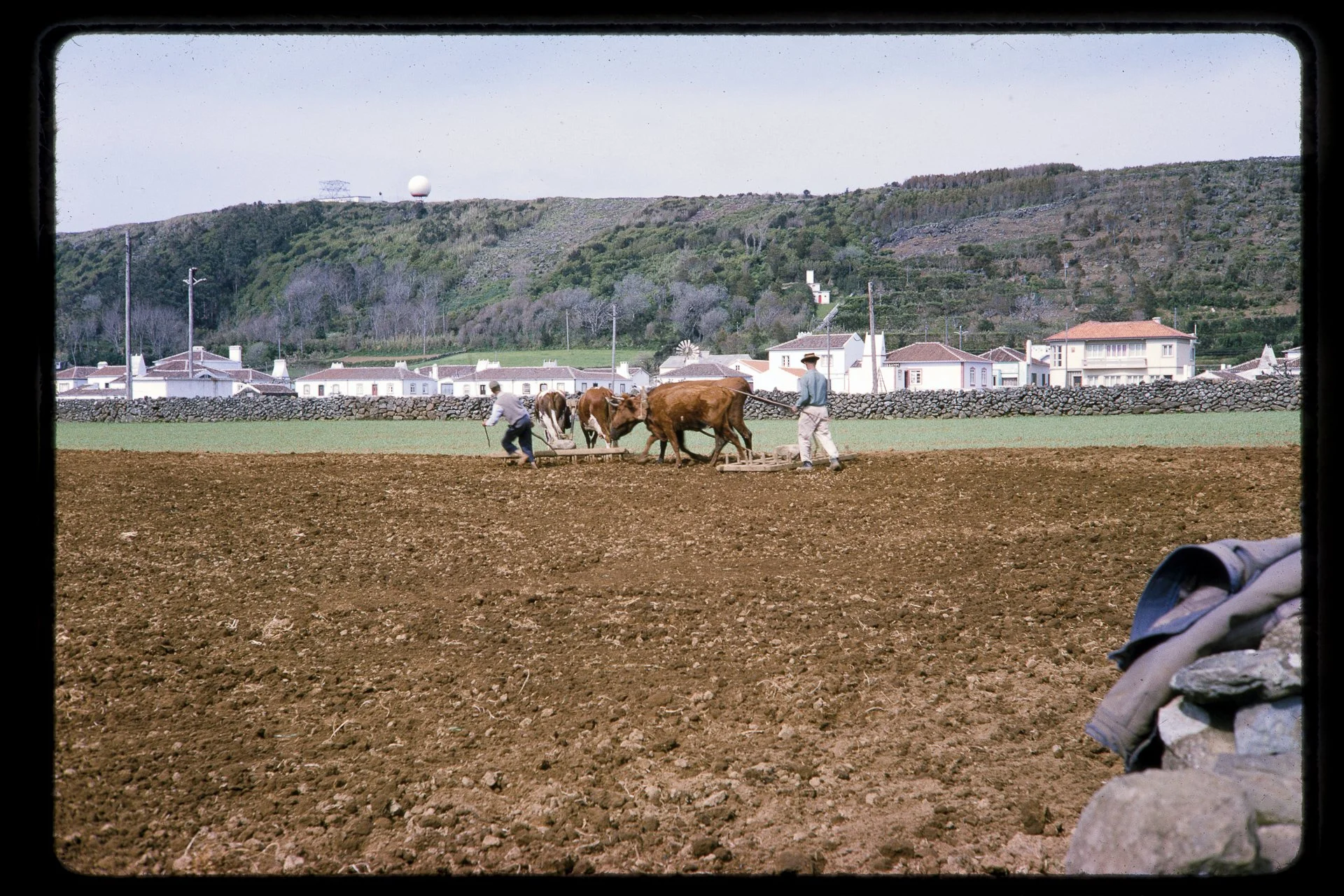 DA_Slide_8-0255.jpg