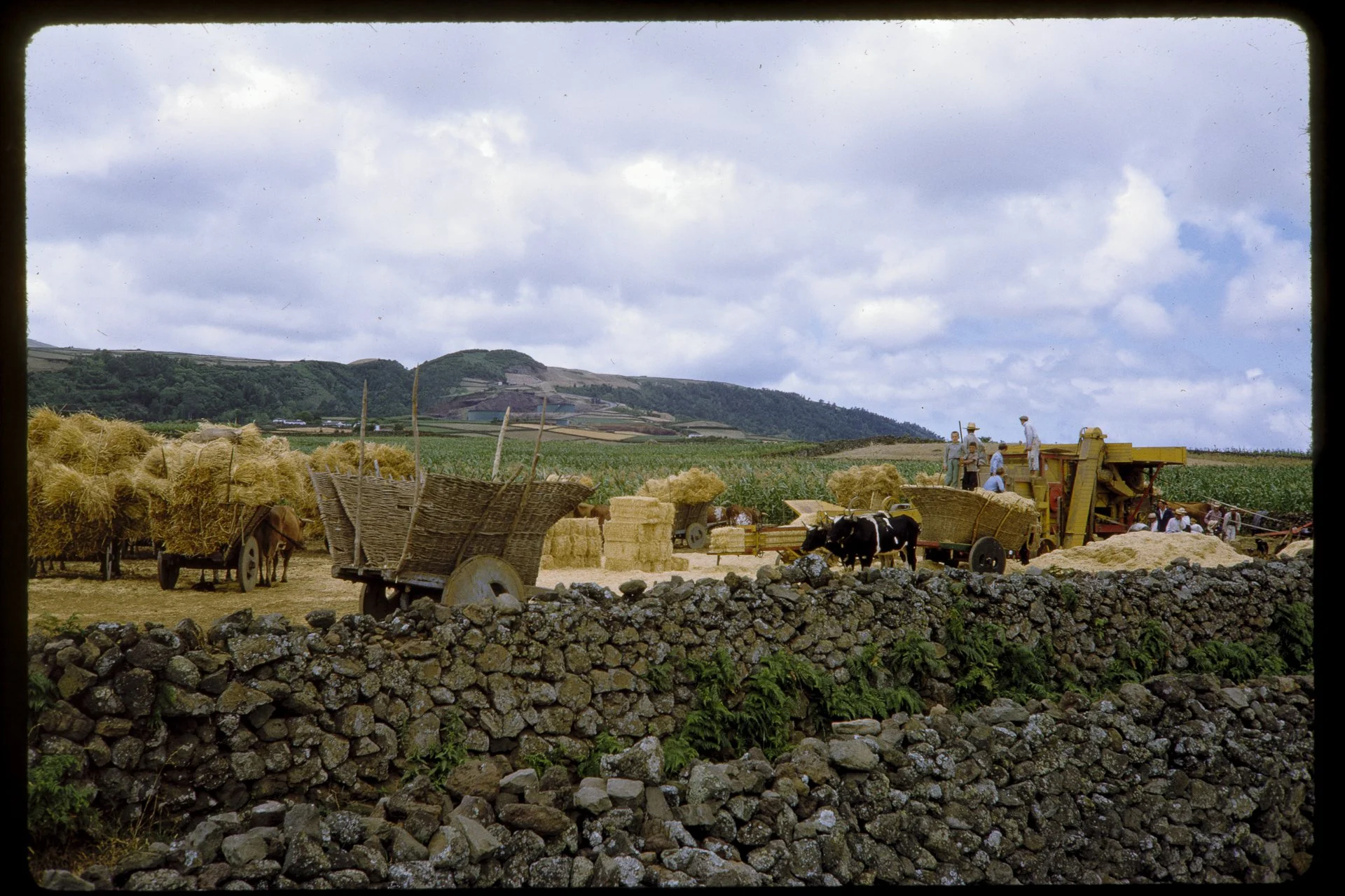 DA_Slide_4-0123.jpg