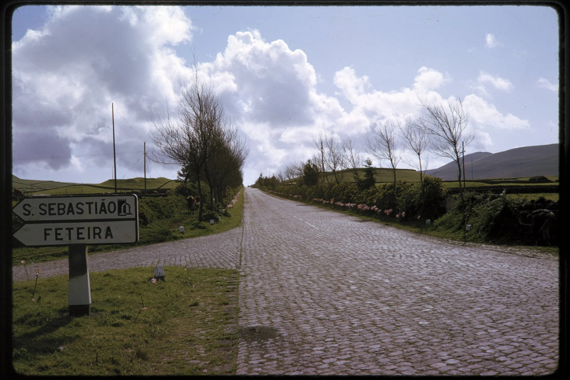 DA_Slide_C7-0100.jpg
