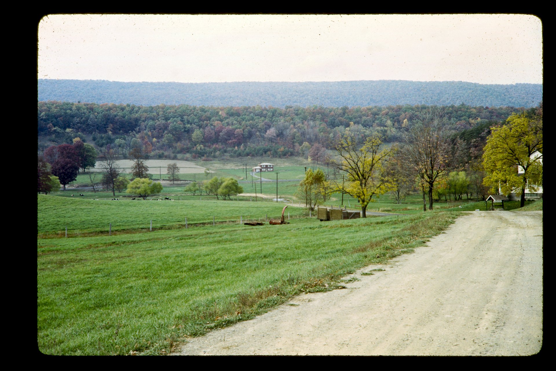 DA_Slide_12-0374.jpg