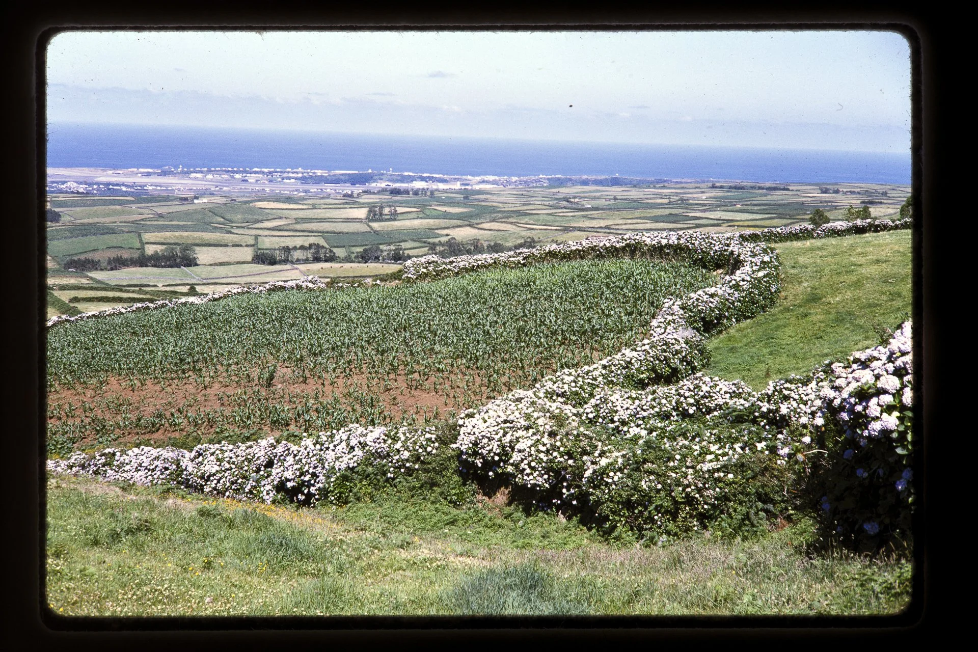 DA_Slide6-0001.jpg