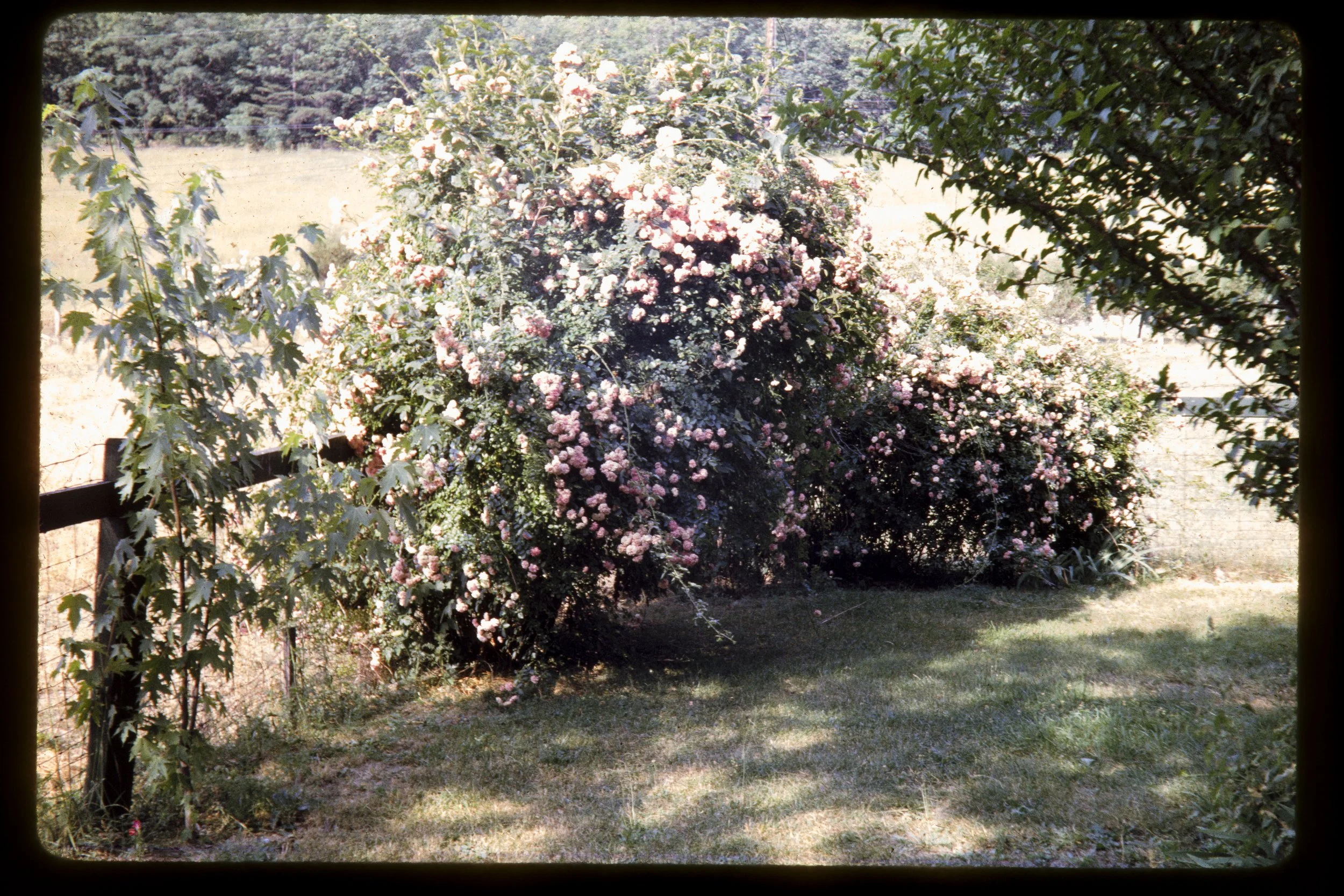 DA_Slides-0072.jpg