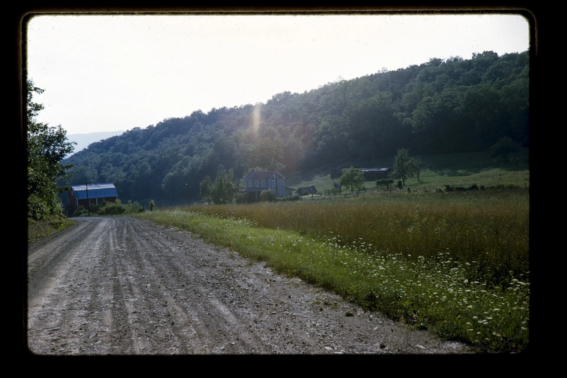 DA_Slide6-0027.jpg