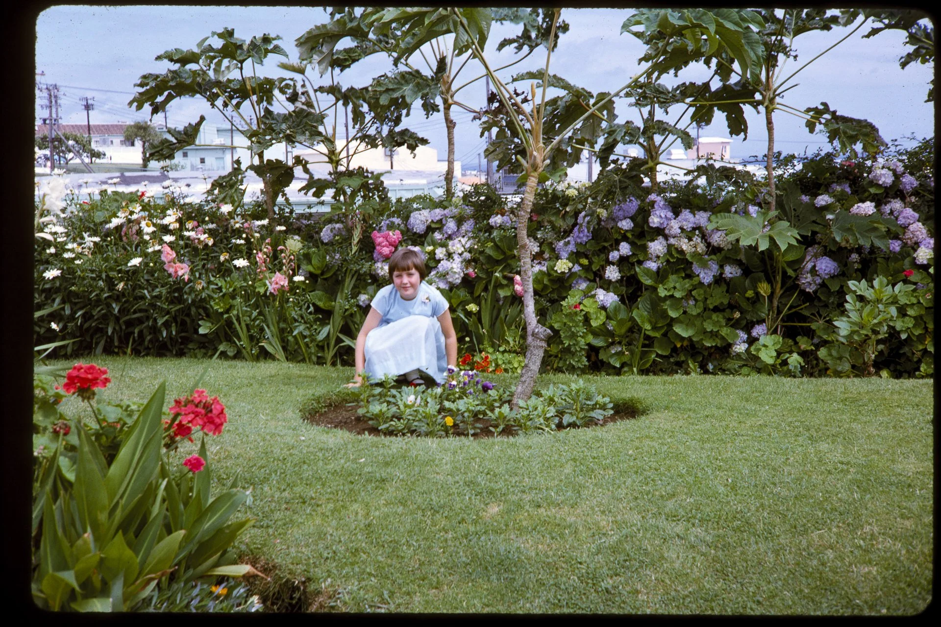 DA_Slide_4-0111.jpg