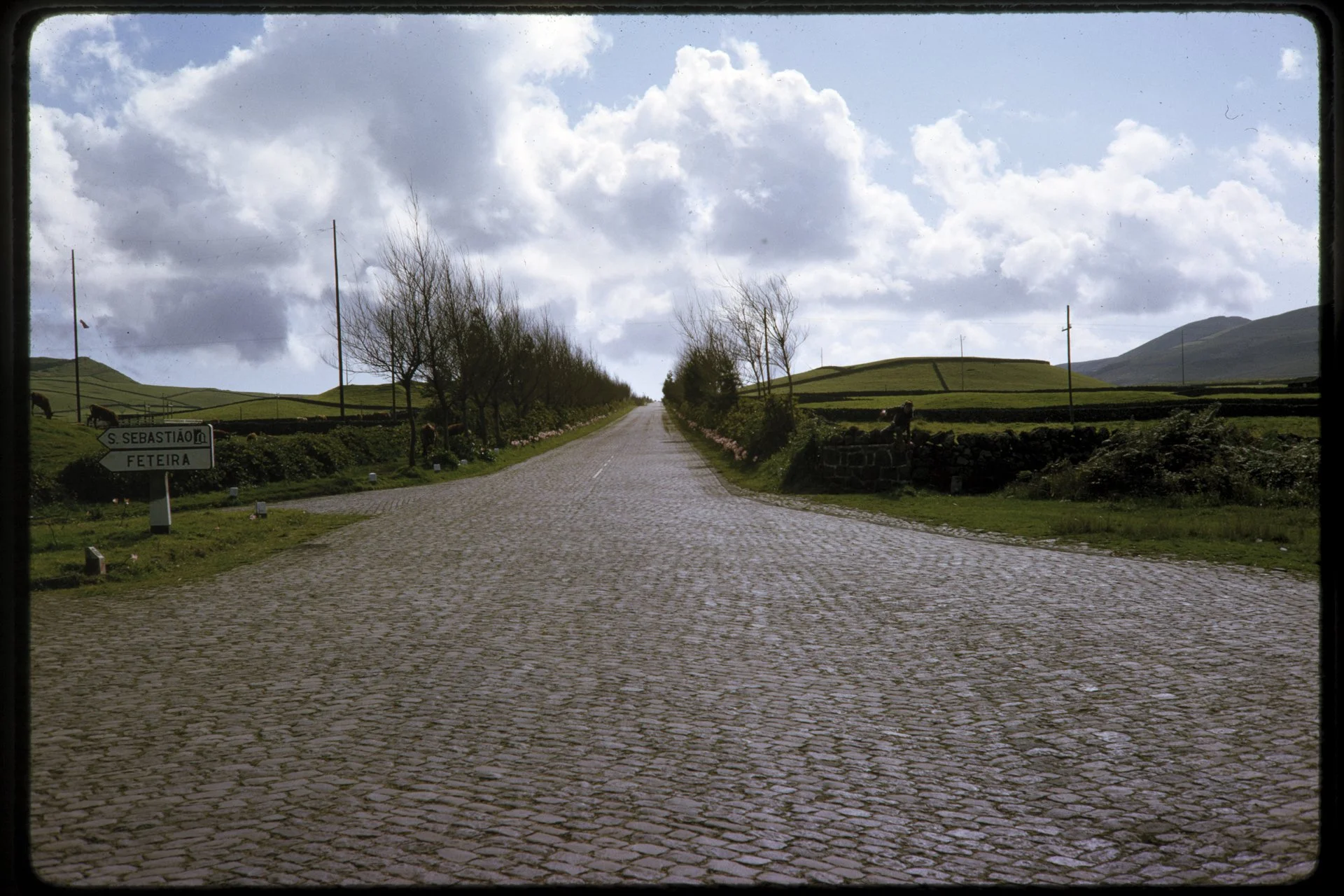 DA_Slide_C7-0099.jpg