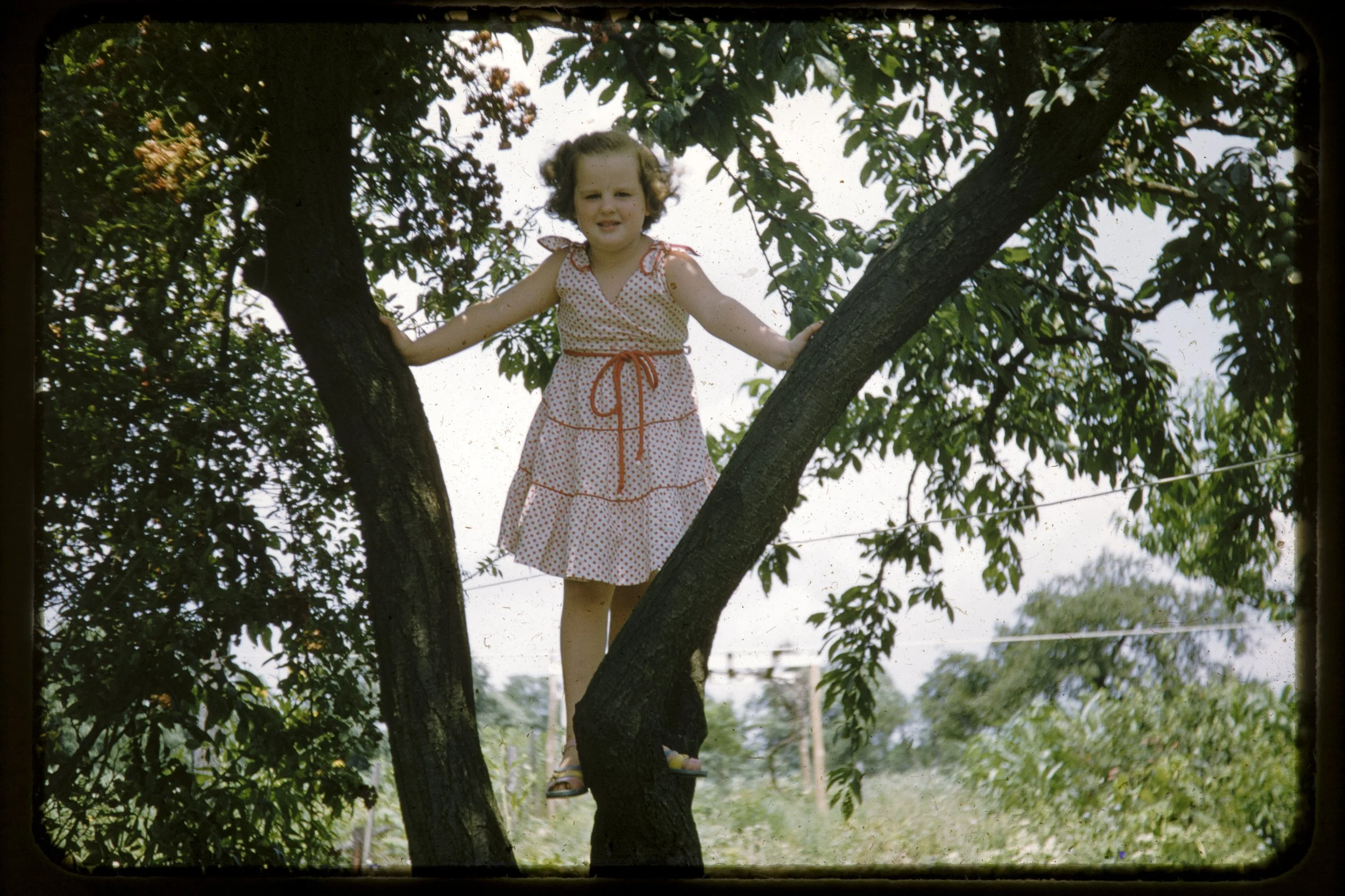 DA_Slides-0016.jpg
