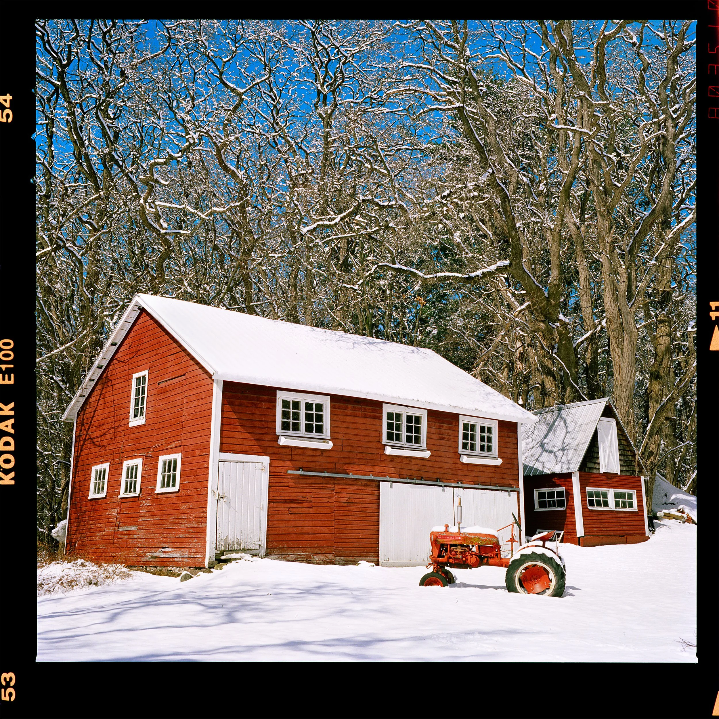 The Last Snow Before the Real Last Snow — Kodak Ektachrome 100