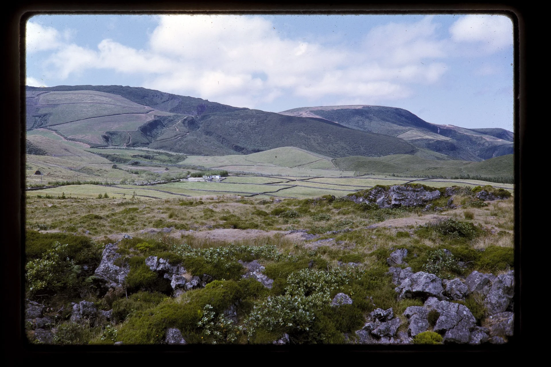 DA_Slide6-0004.jpg