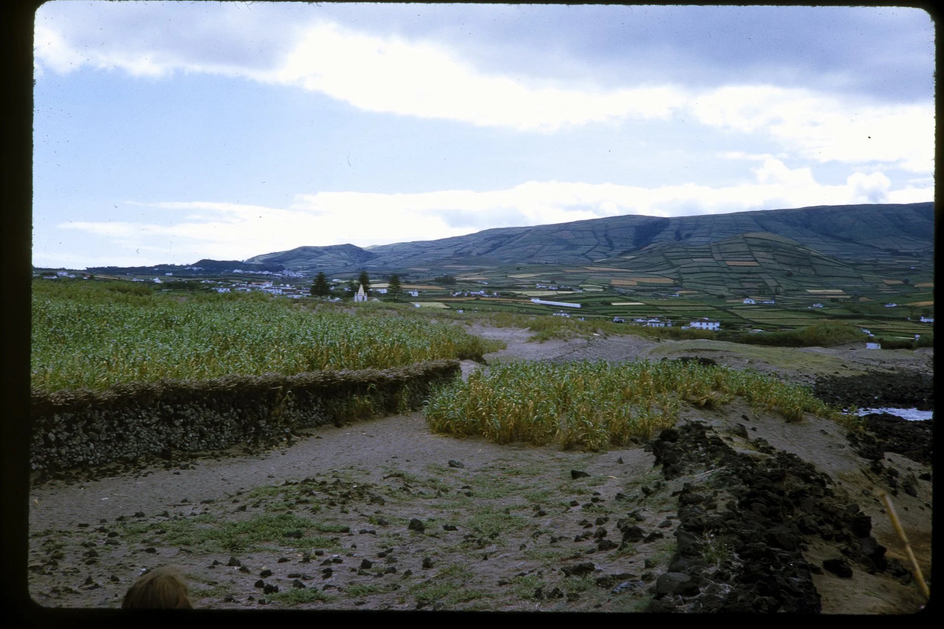 DA_Slide_4-0109.jpg