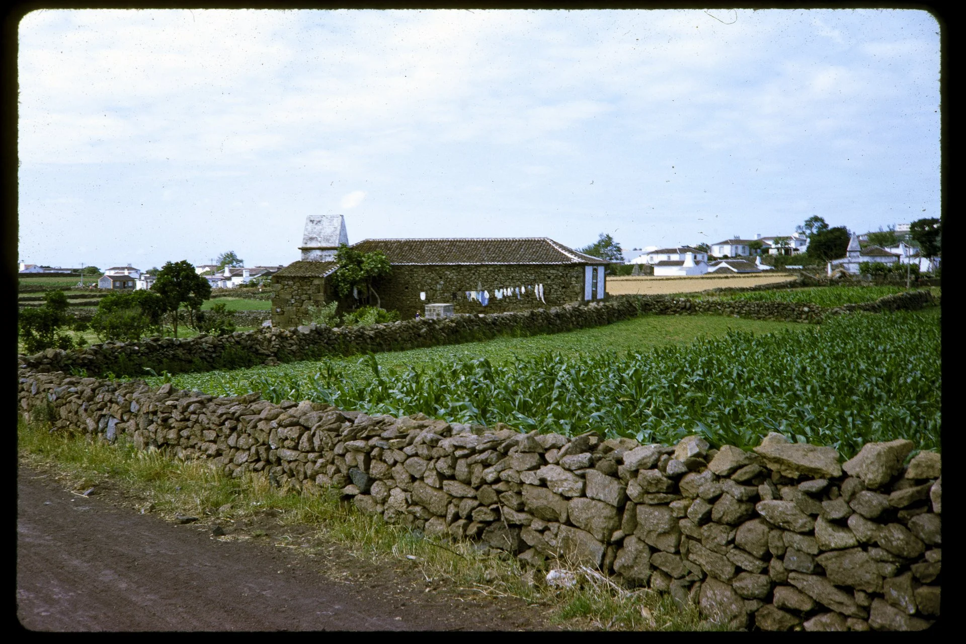 DA_Slide_4-0117.jpg