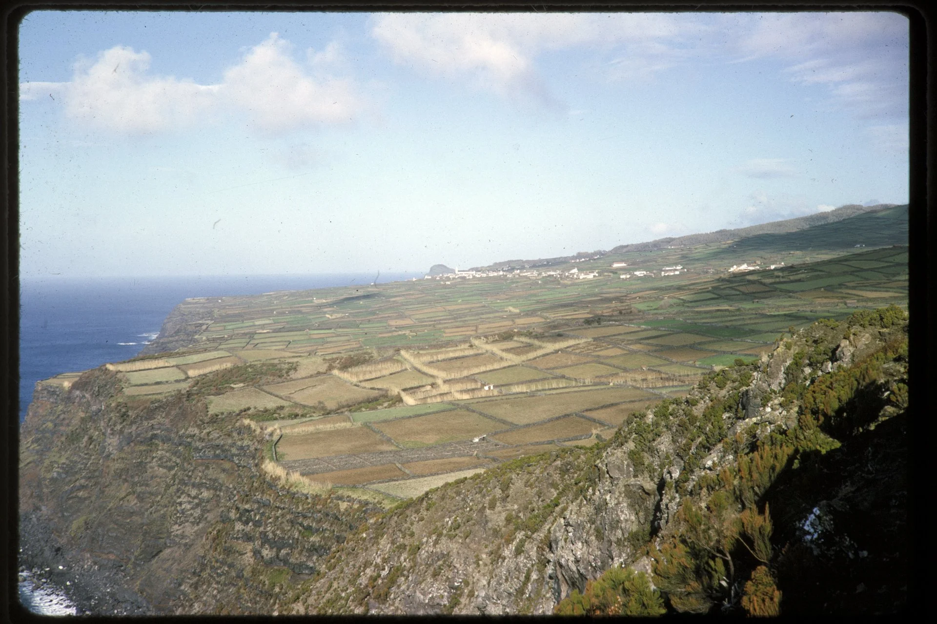 DA_Slide_C7-0114.jpg