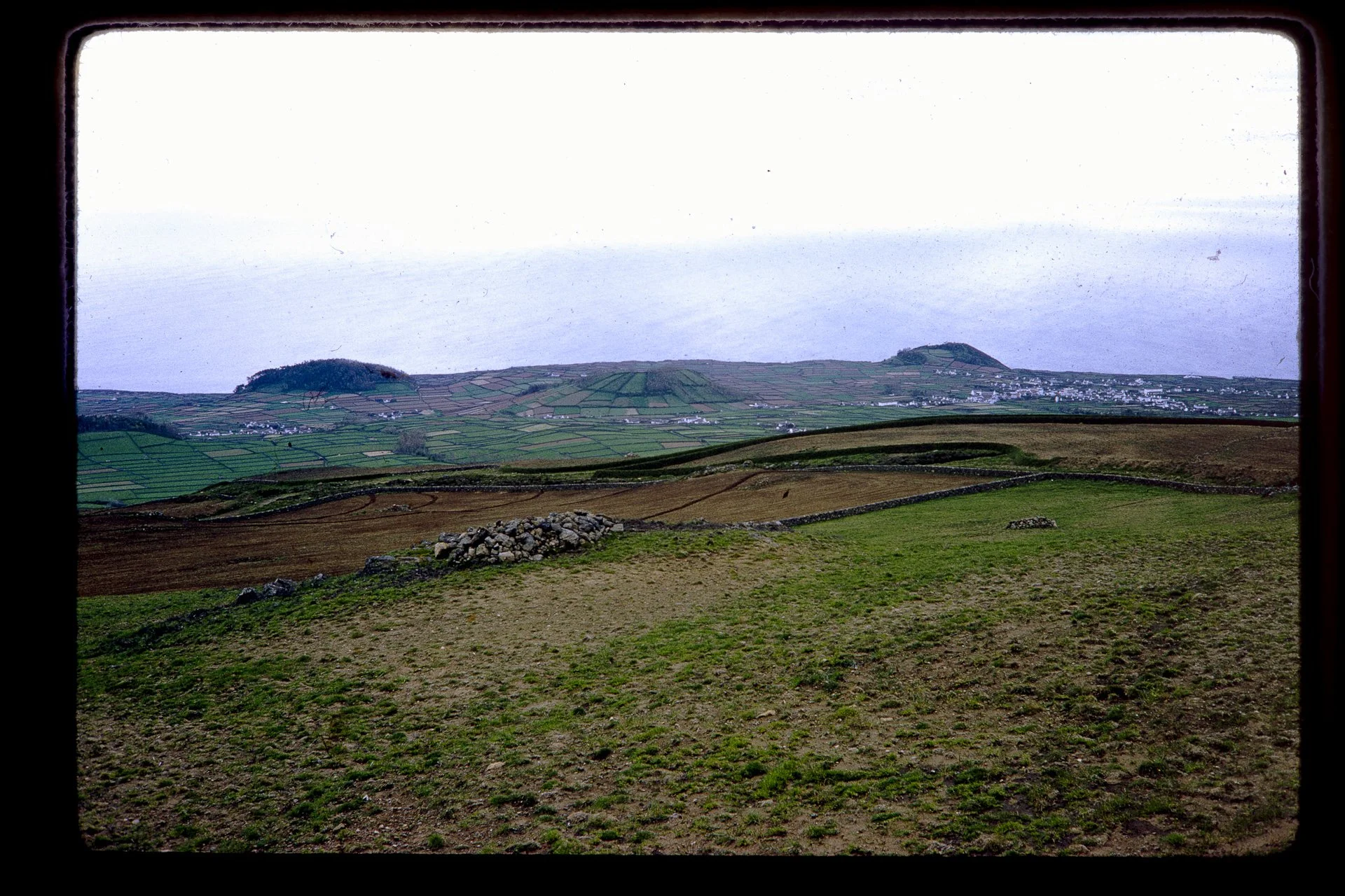 DA_Slide_8-0267.jpg