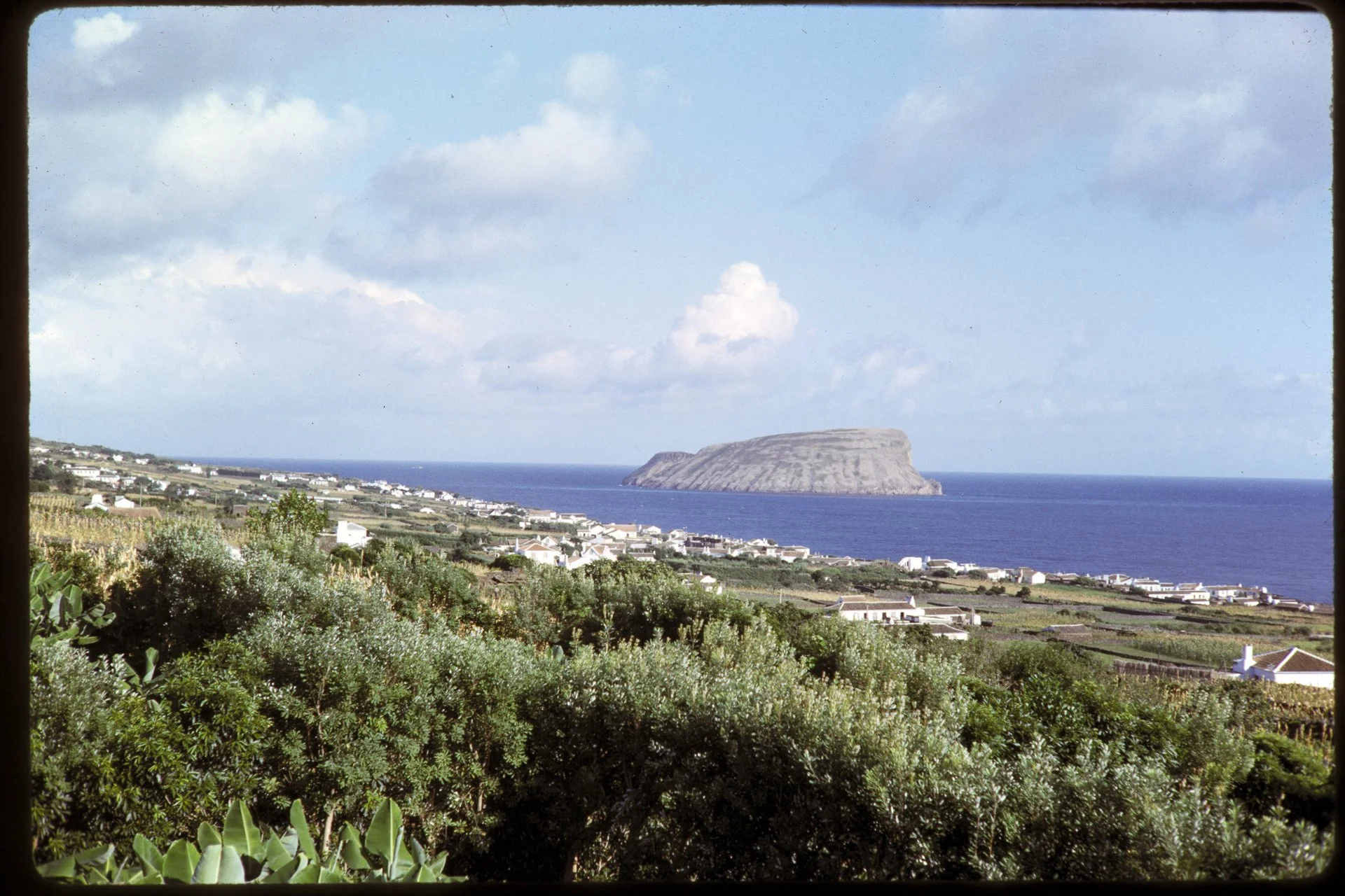 DA_Slide_02-0049.jpg