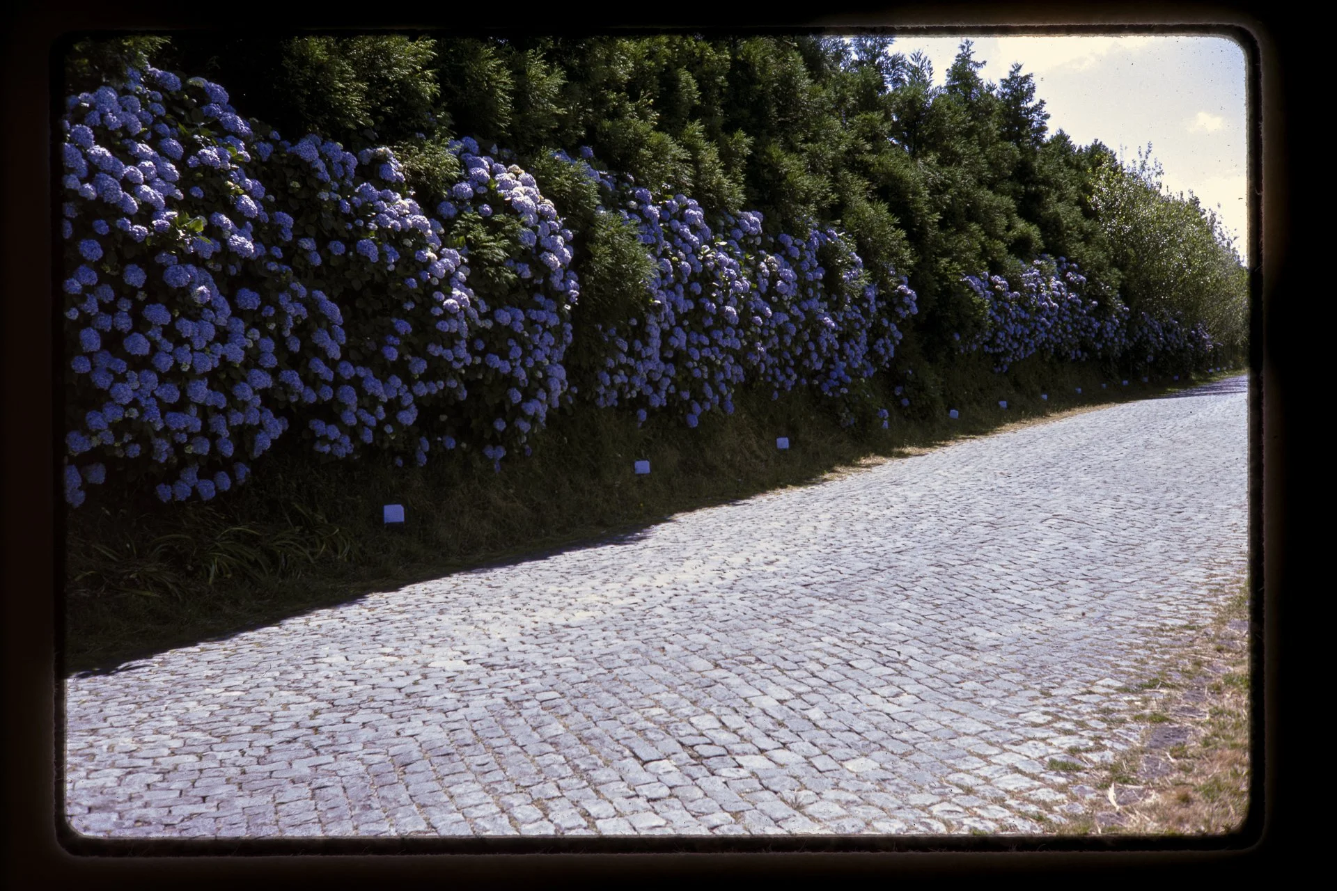DA_Slide6-0002.jpg