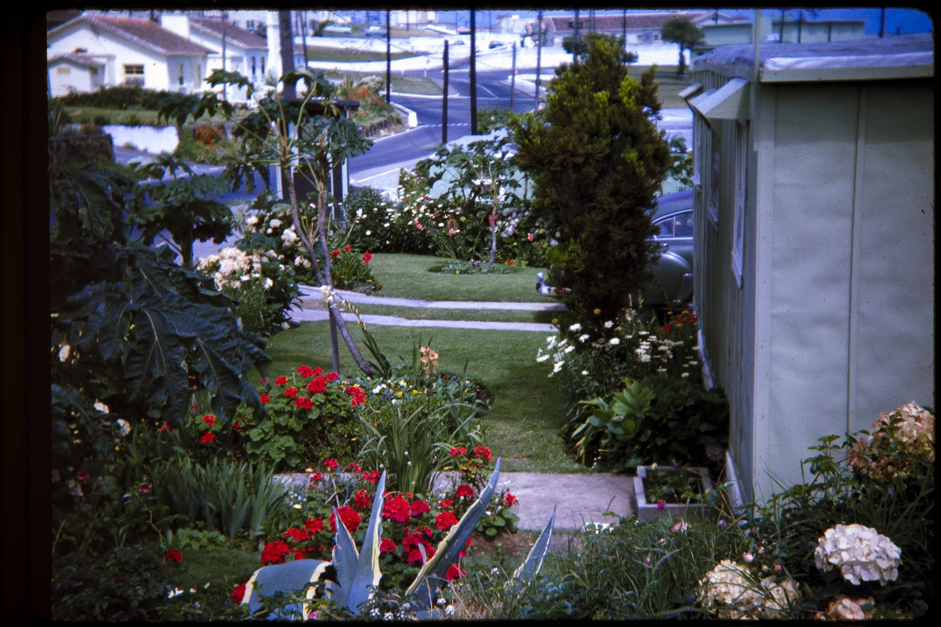 DA_Slide_5-0152.jpg