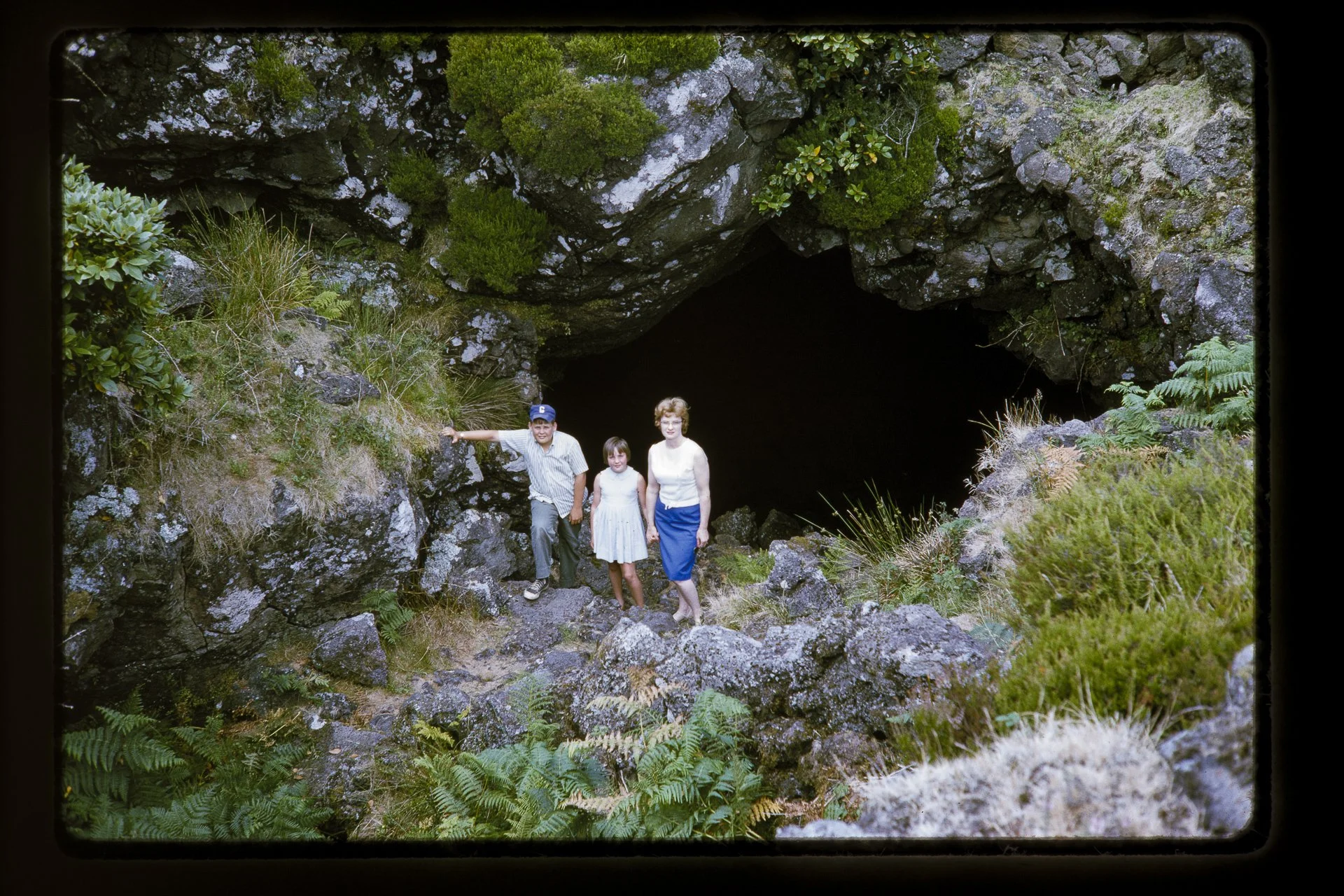 DA_Slide6-0006.jpg