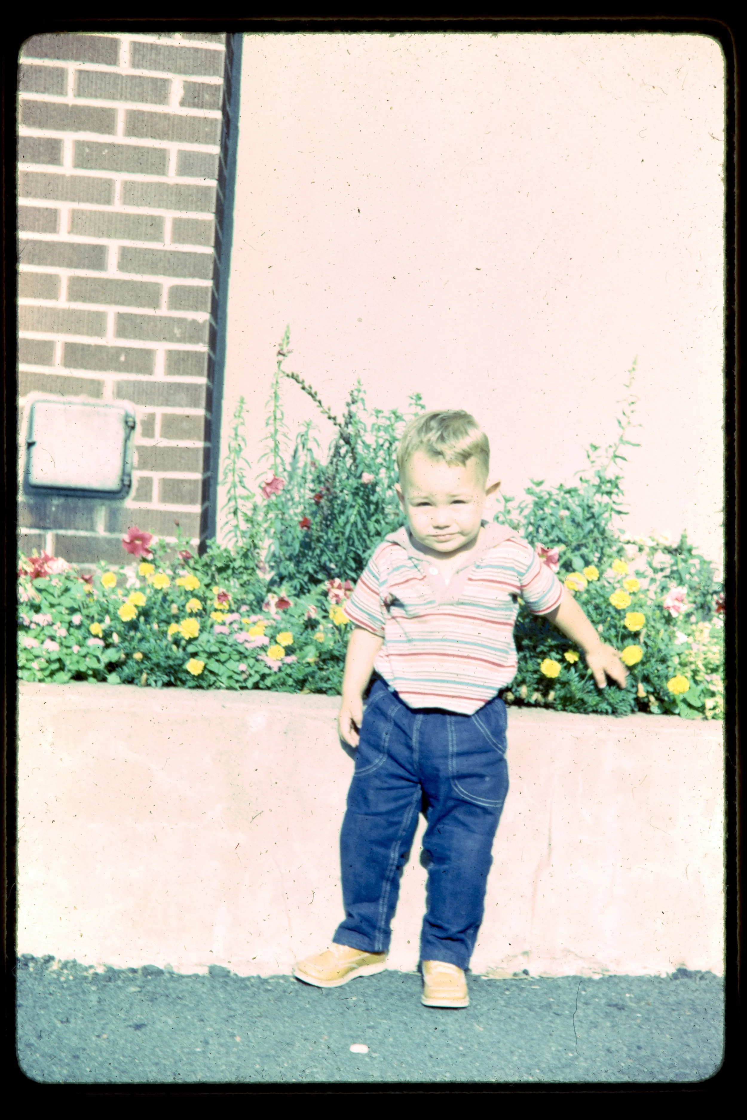 DA_Slides-0002.jpg