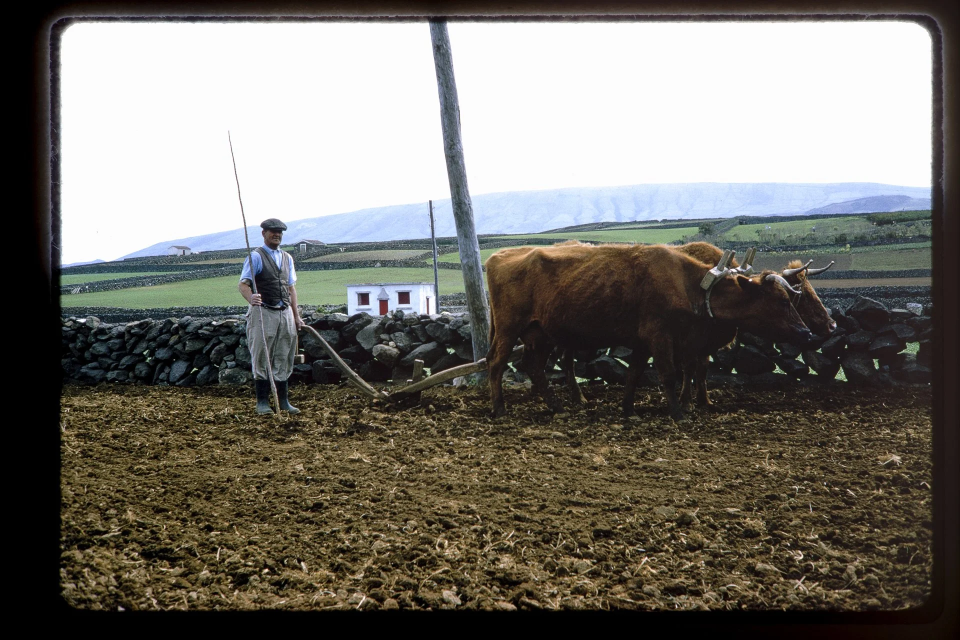 DA_Slide_8-0259.jpg