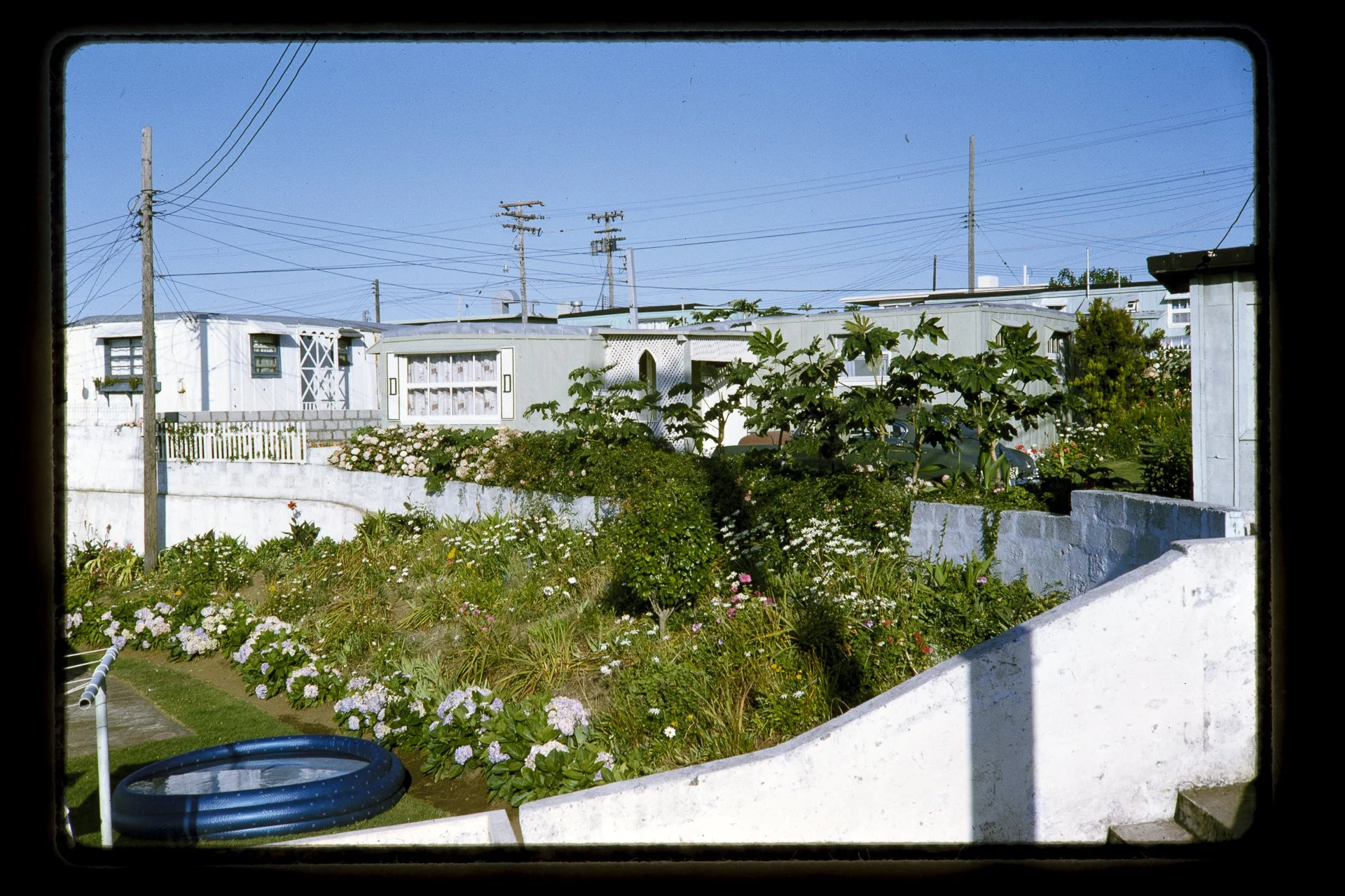 DA_Slide6-0016.jpg