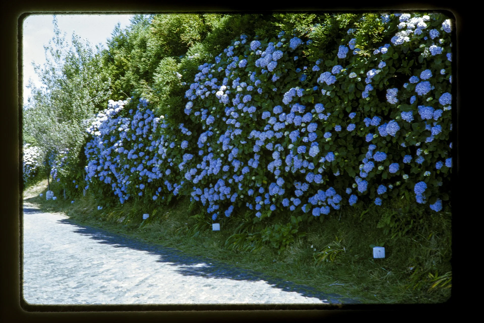 DA_Slide6-0003.jpg