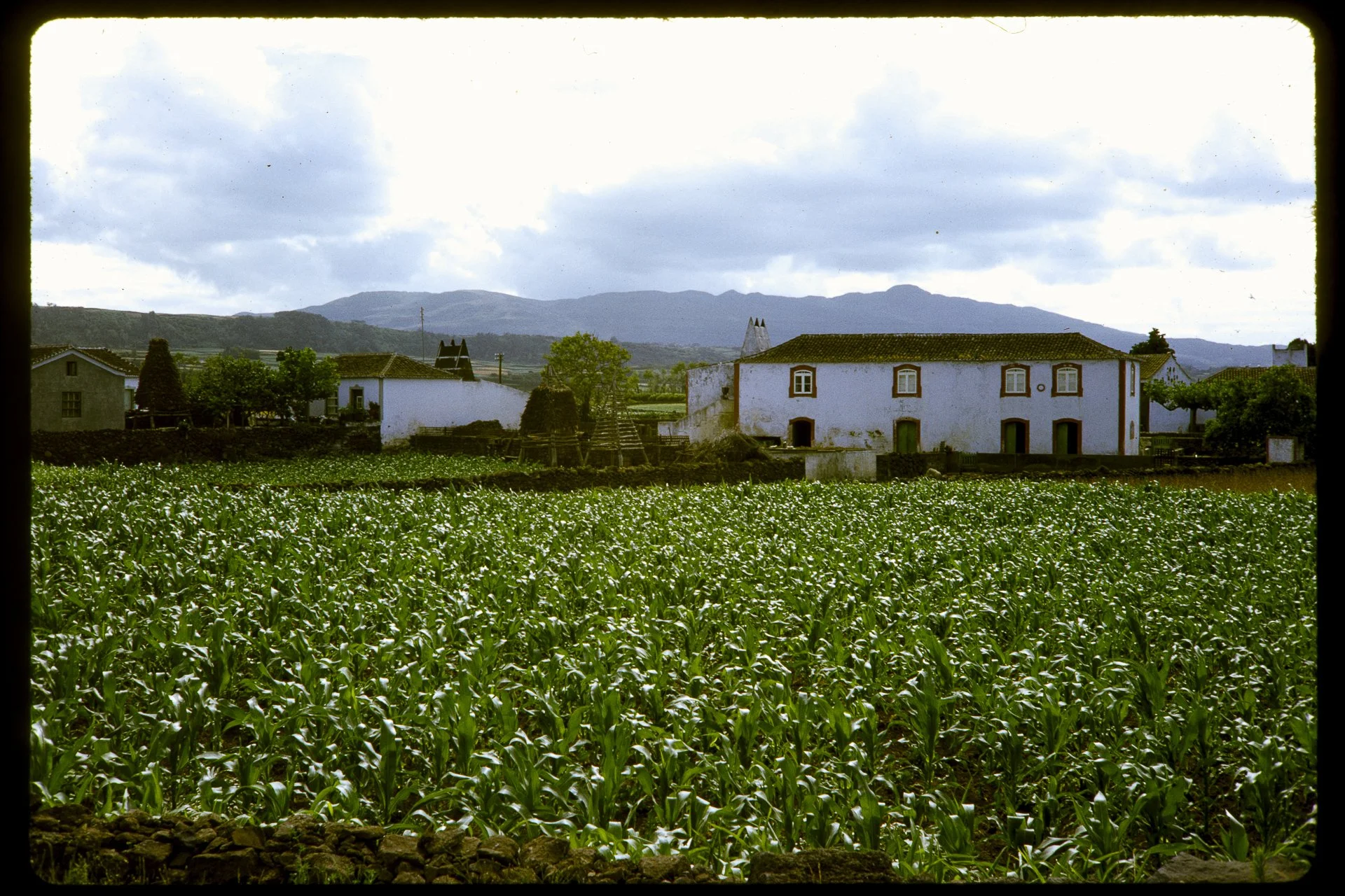 DA_Slide_4-0118.jpg
