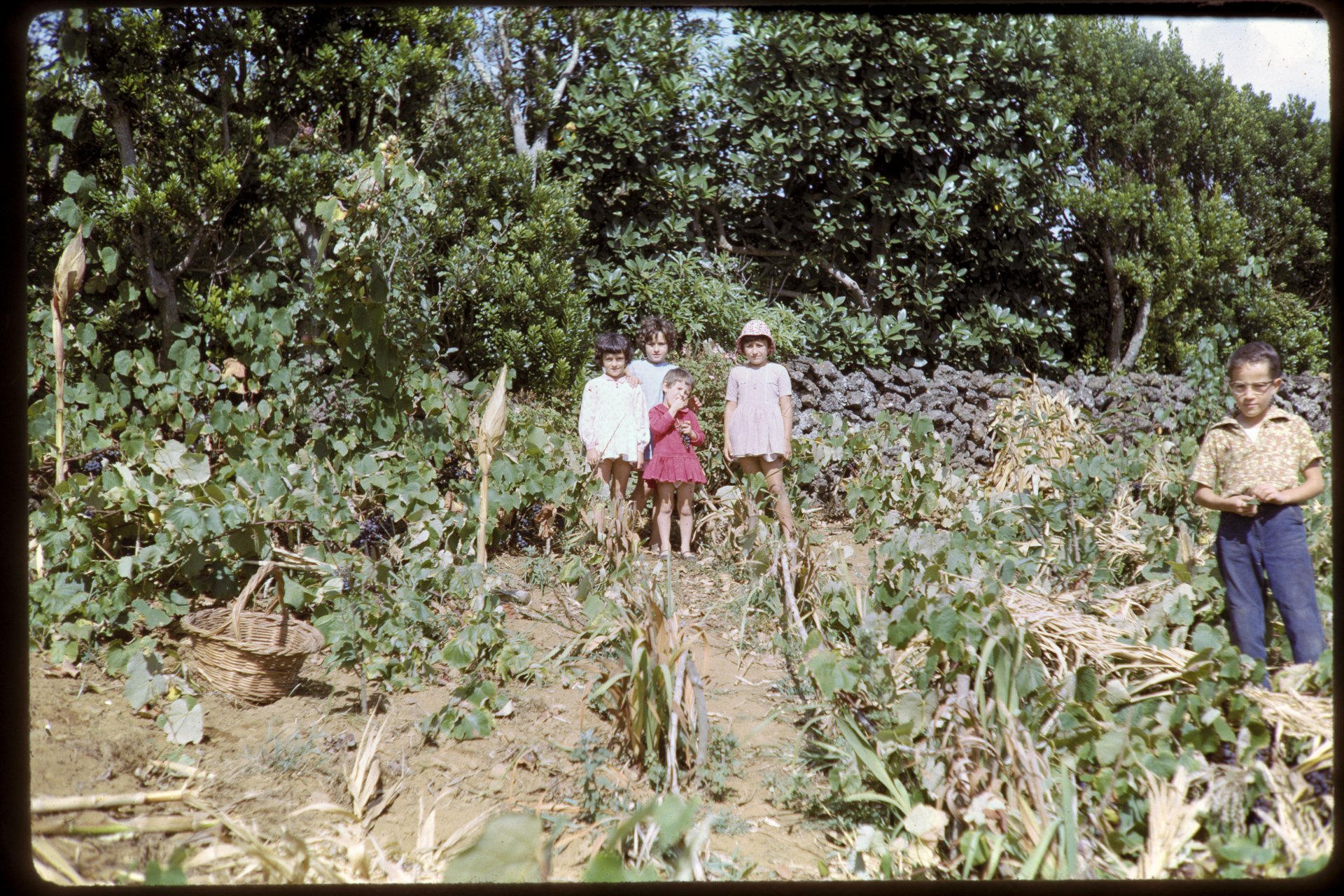 DA_Slide_02-0051.jpg