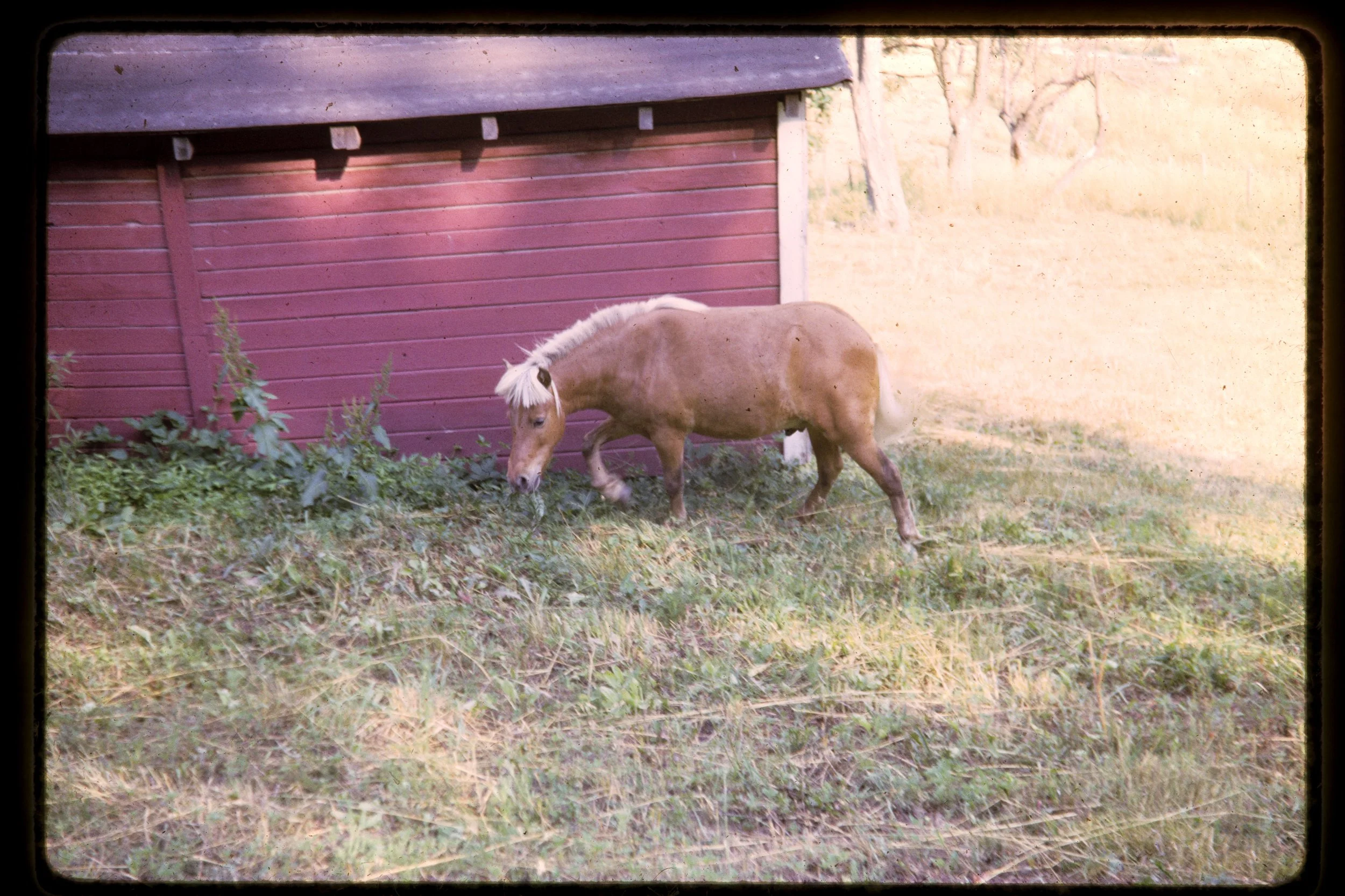 DA_Slides-0009.jpg