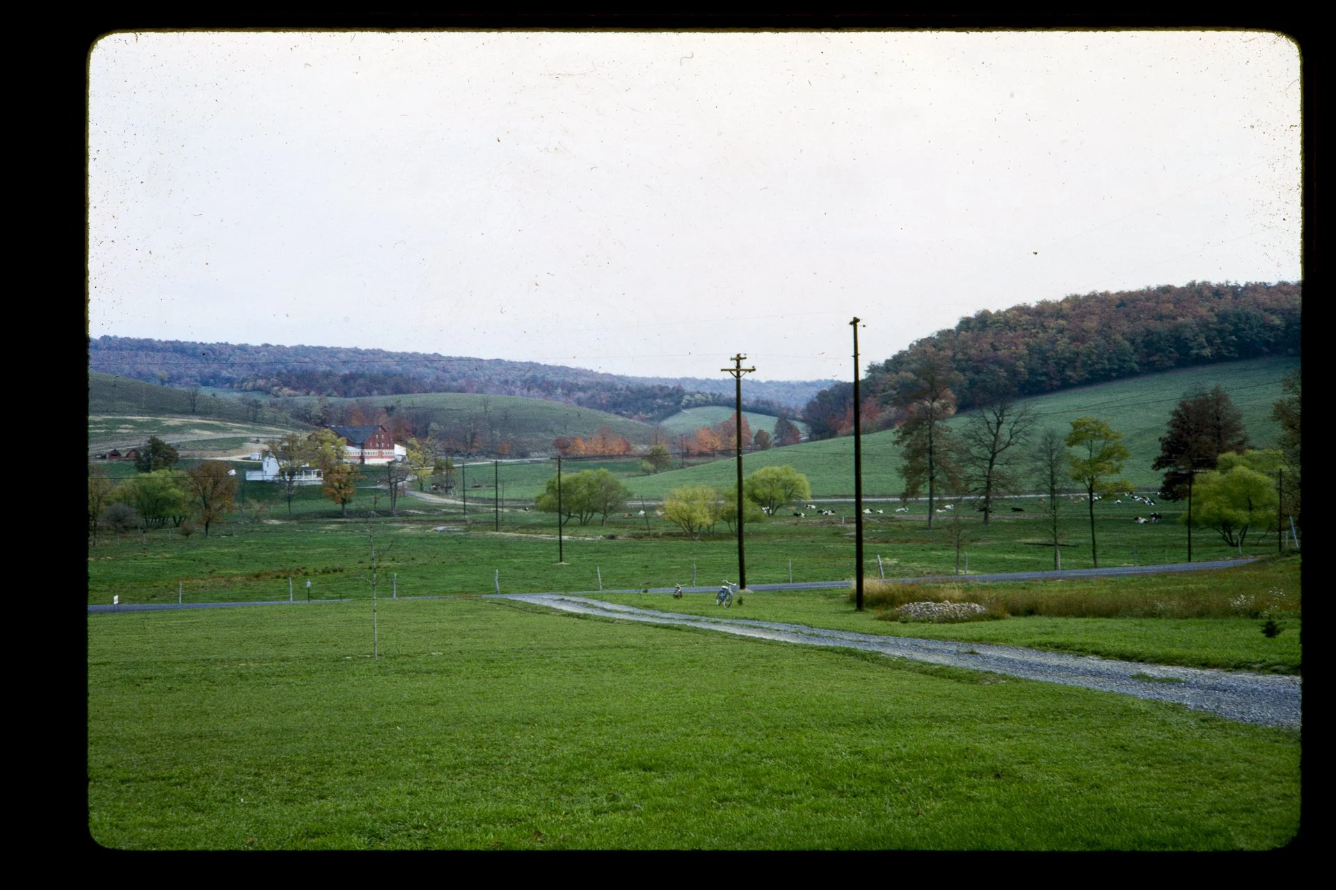DA_Slide_12-0376.jpg