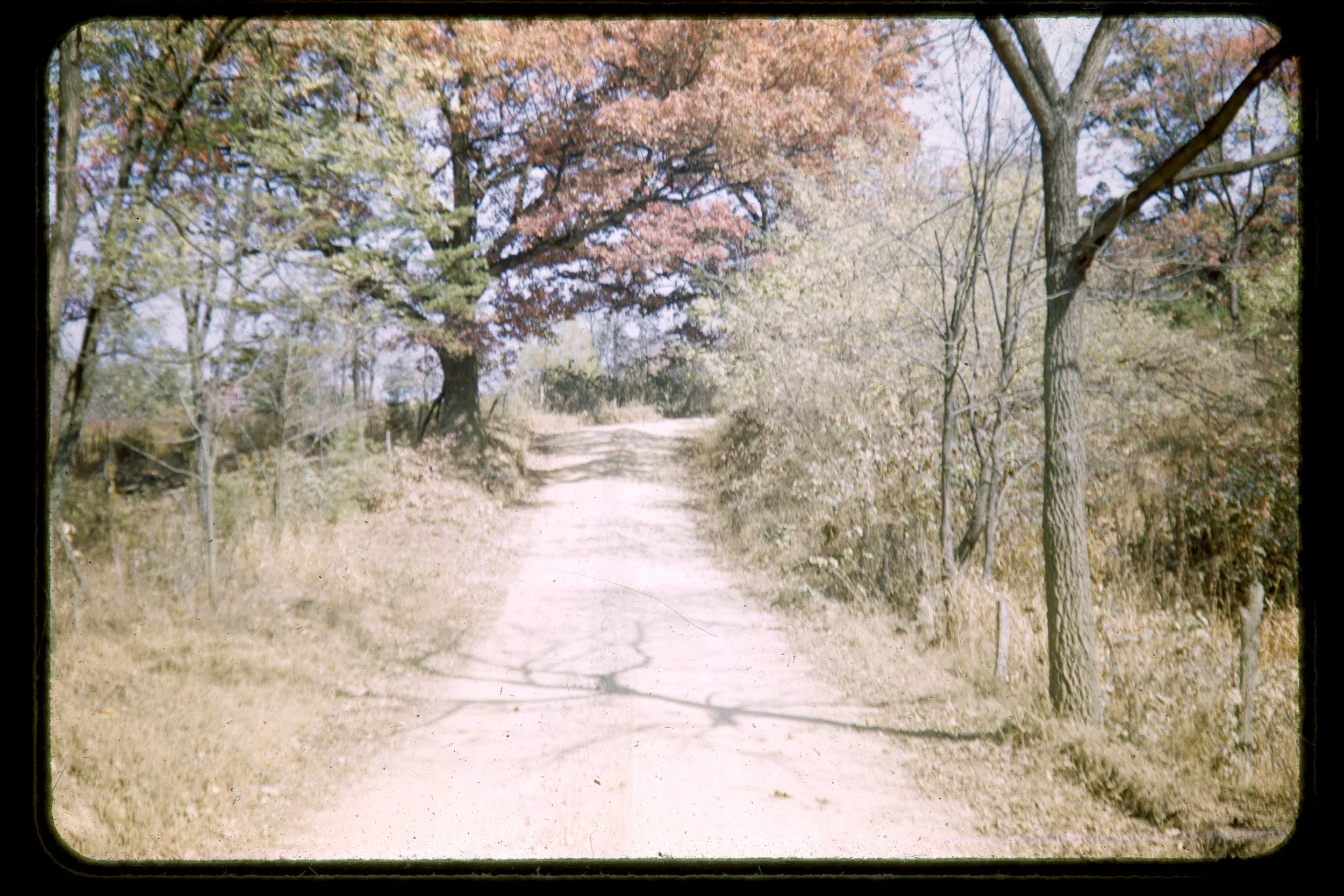 DA_Slides-0040.jpg