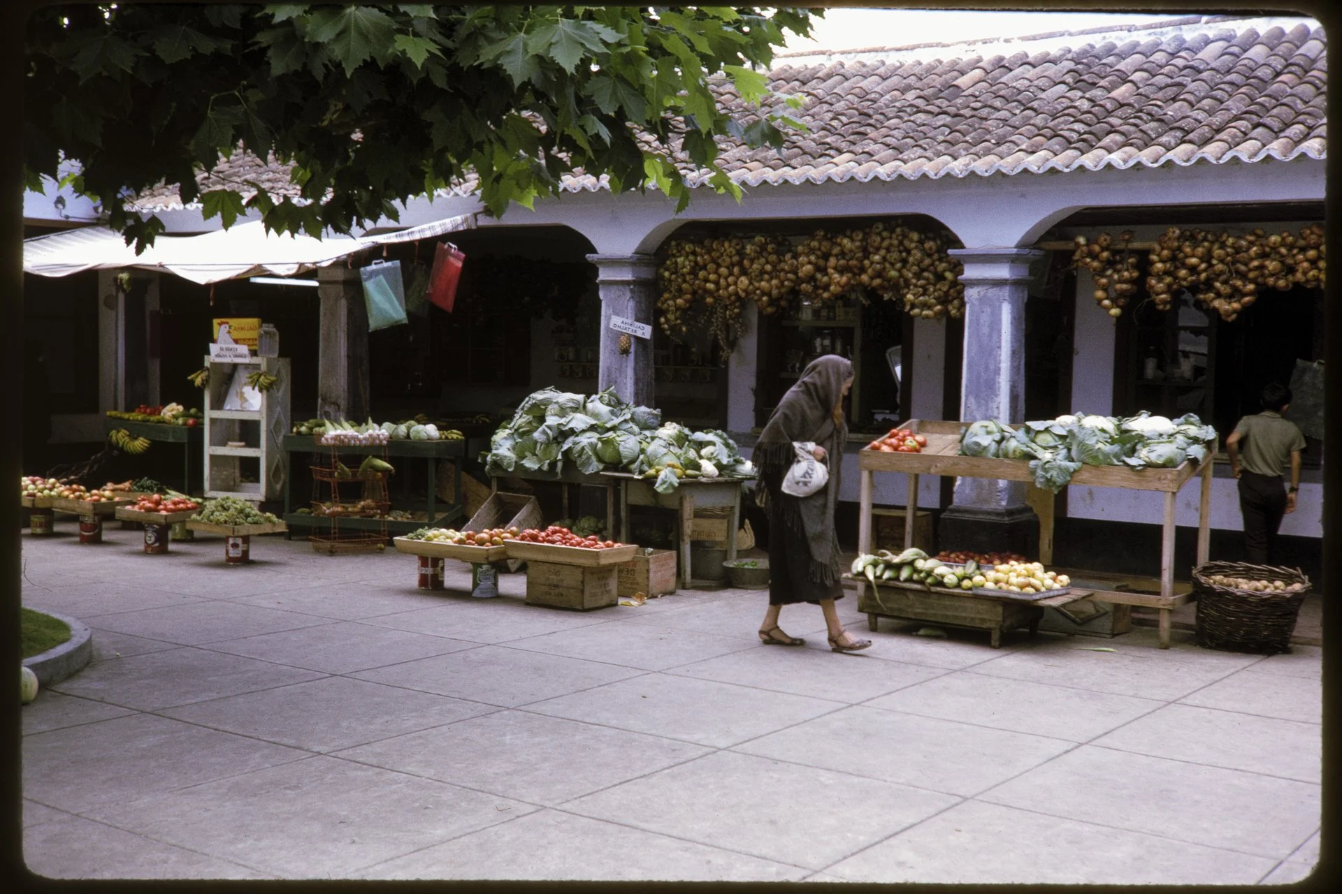 DA_Slide_02-0039.jpg