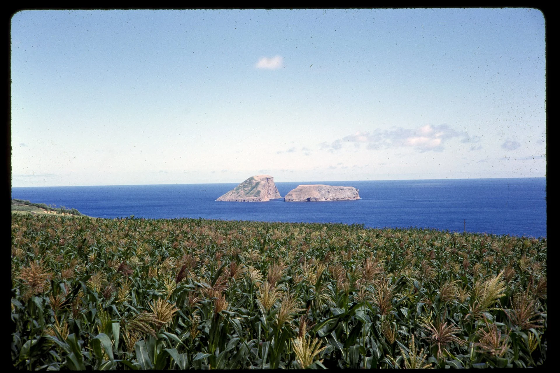 DA_Slide_4-0126.jpg