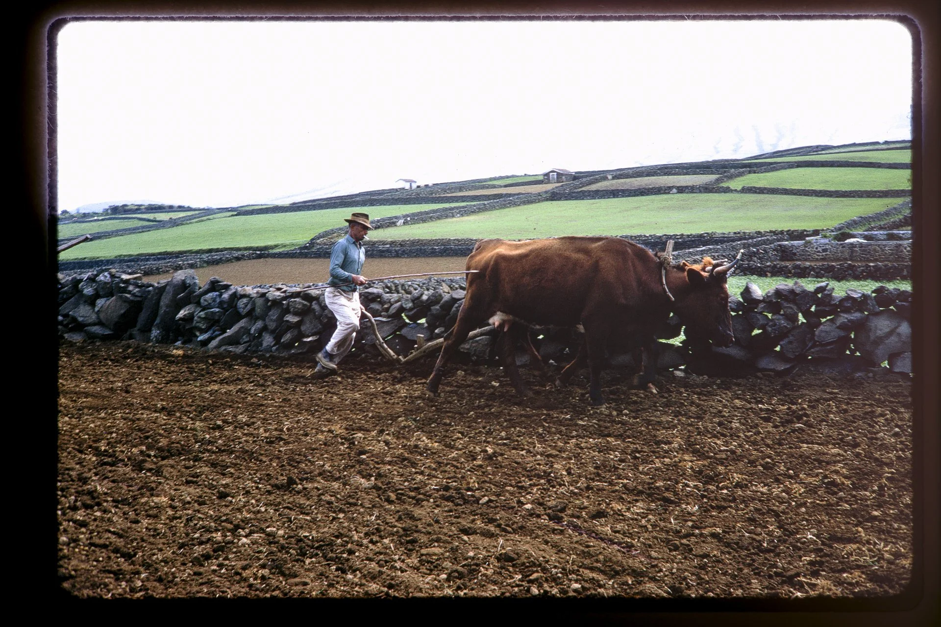 DA_Slide_8-0260.jpg