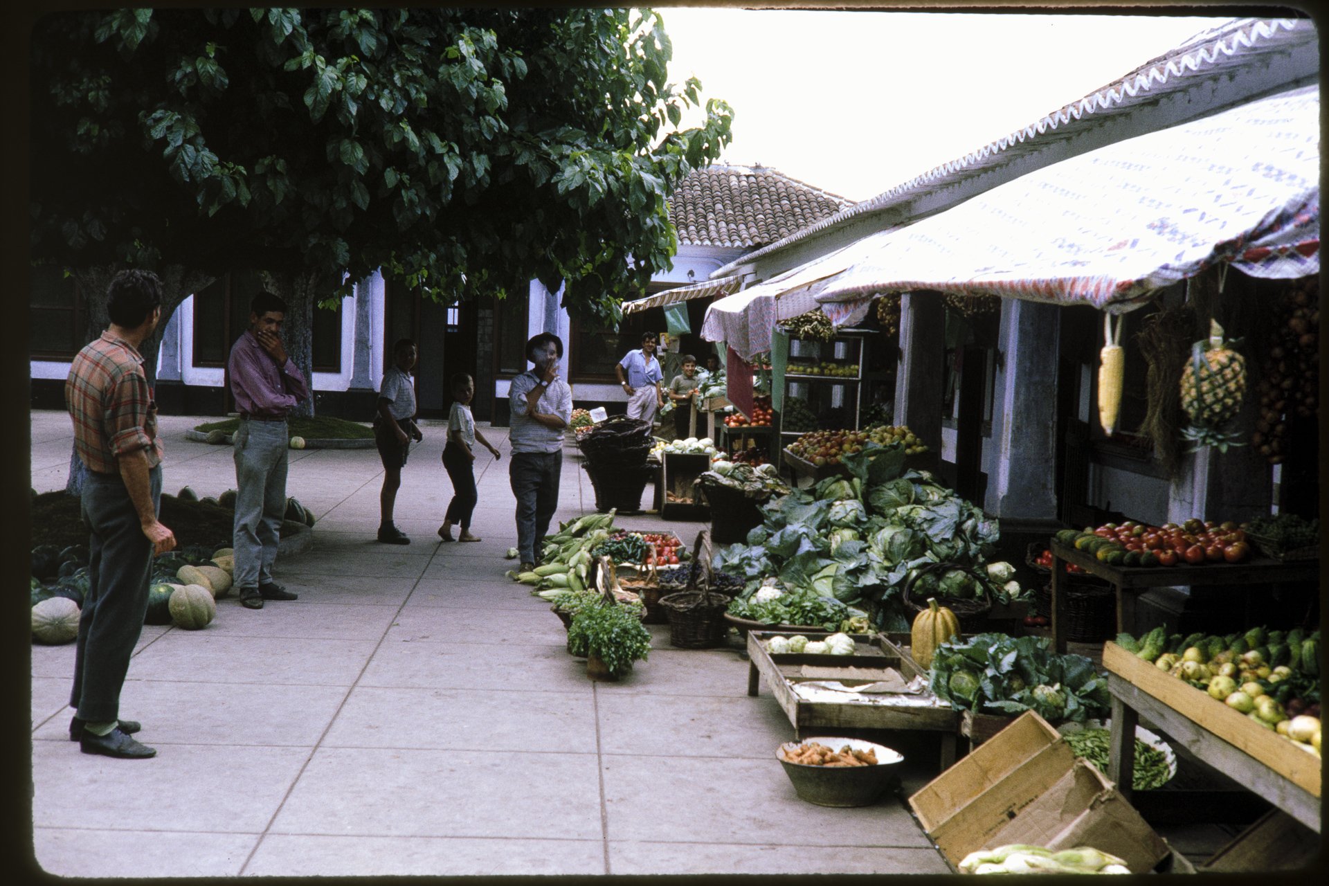DA_Slide_02-0040.jpg