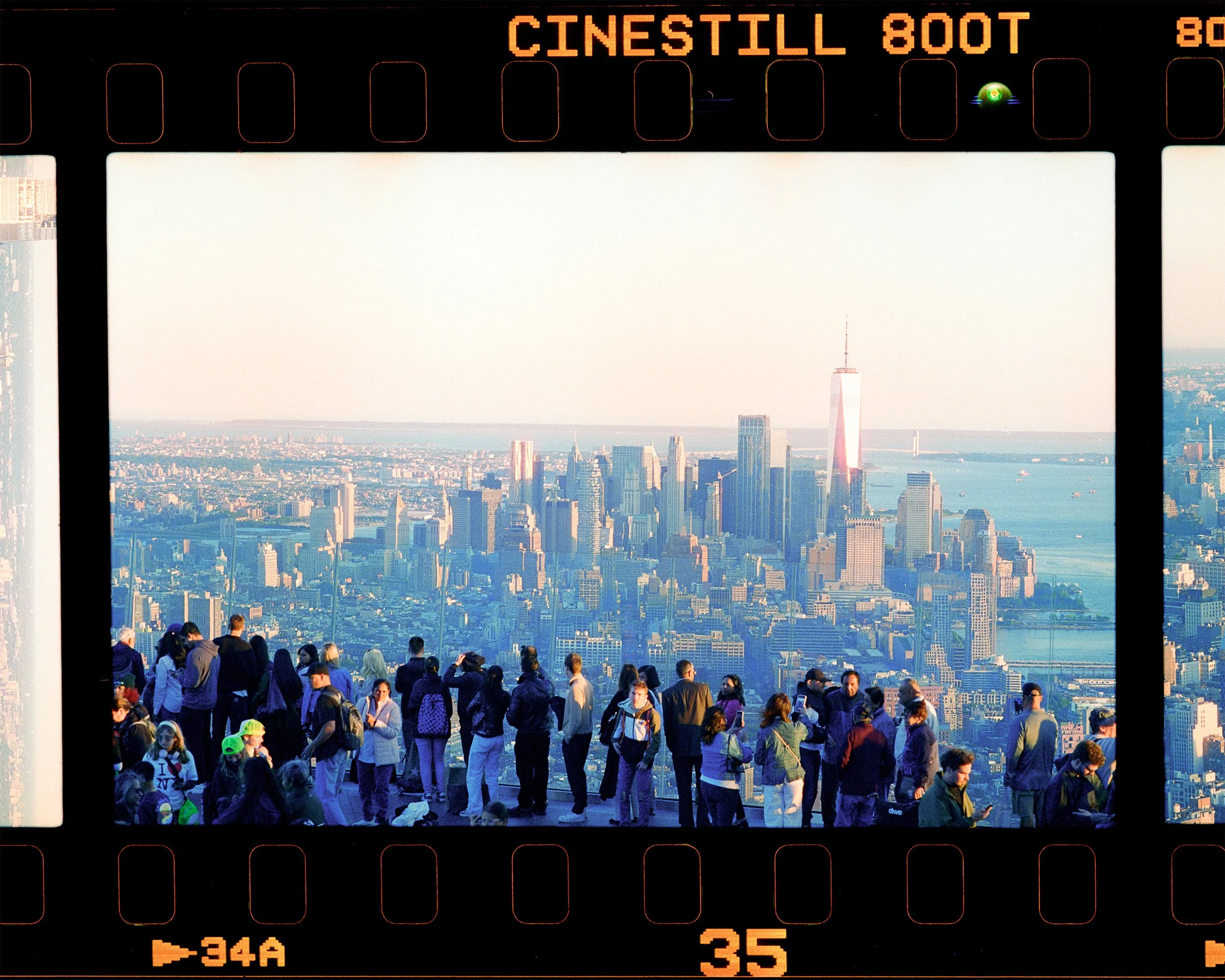 Halated — Cinetill 800T