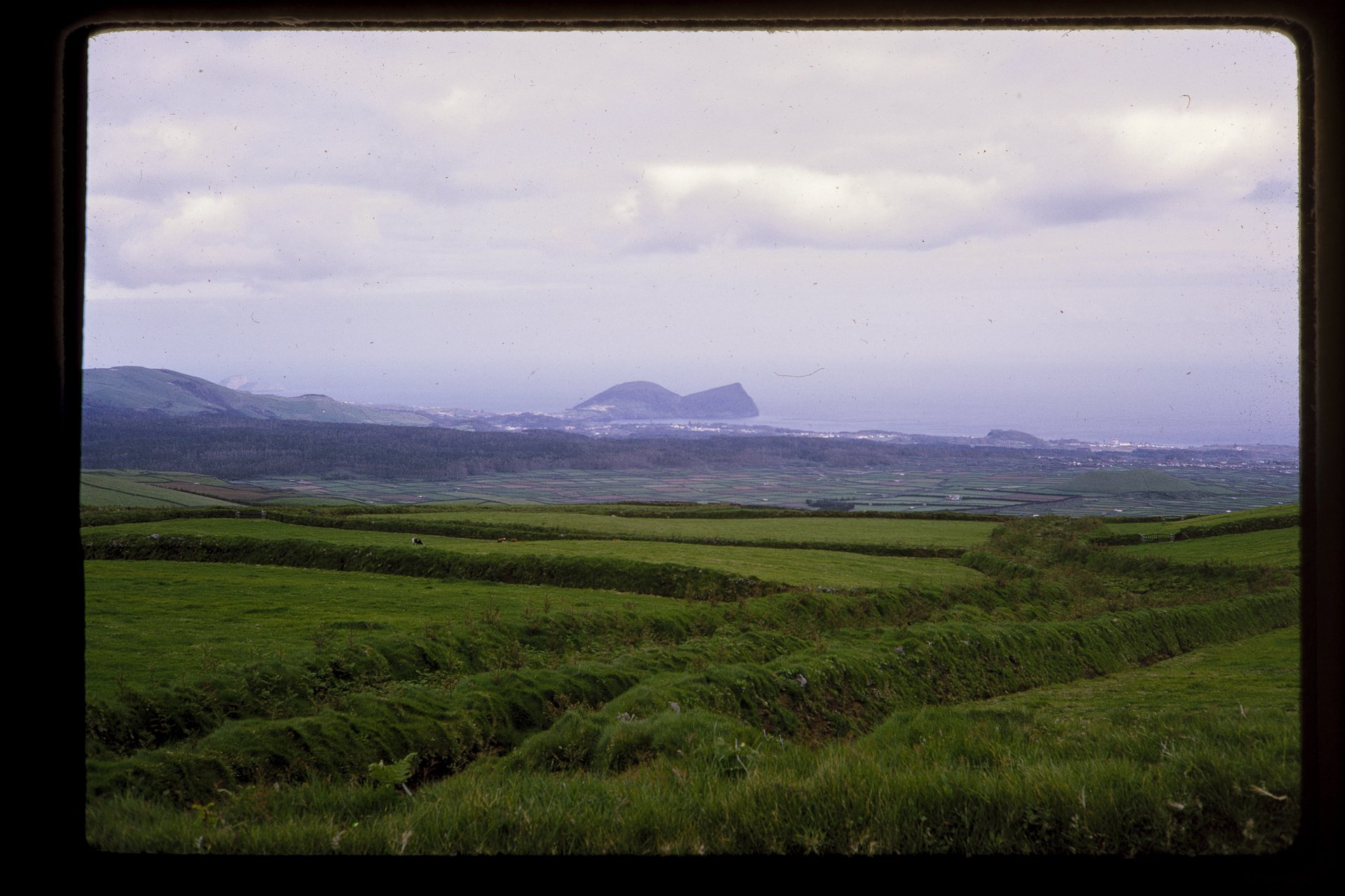 DA_Slide_8-0266.jpg
