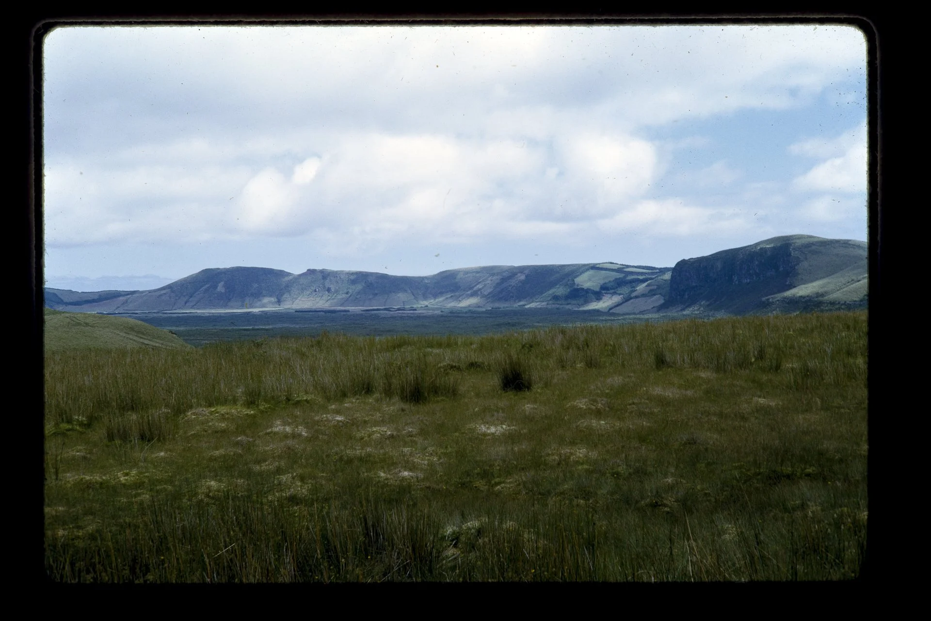 DA_Slide6-0007.jpg