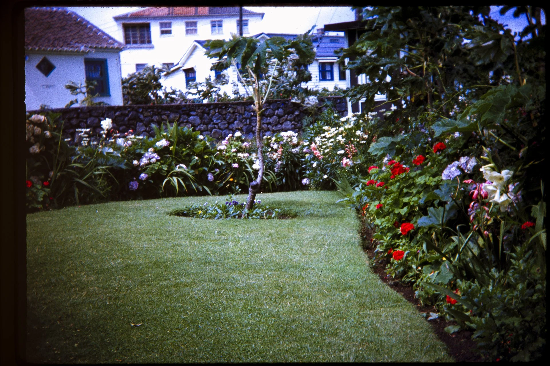 DA_Slide_5-0154.jpg
