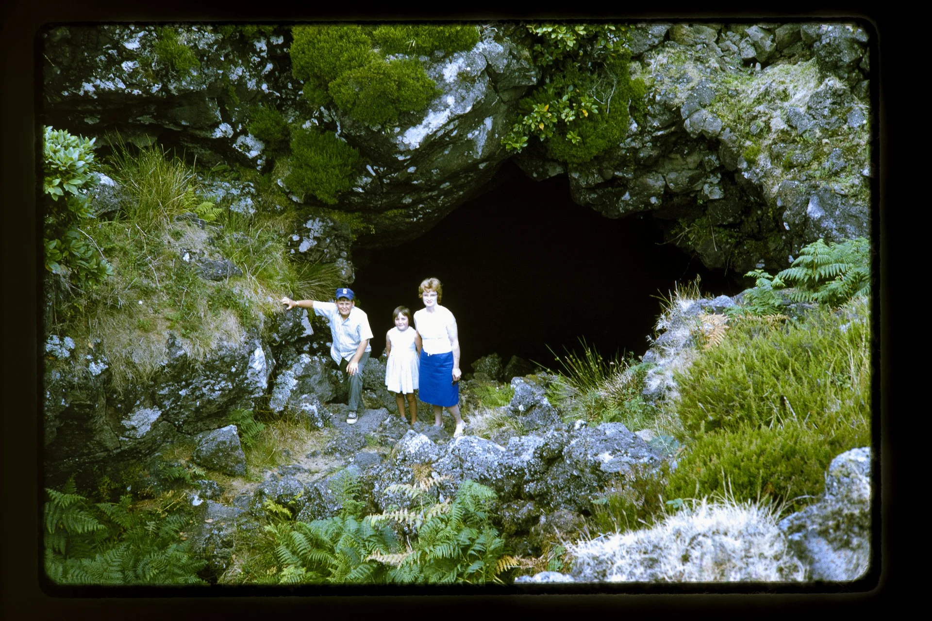DA_Slide6-0005.jpg