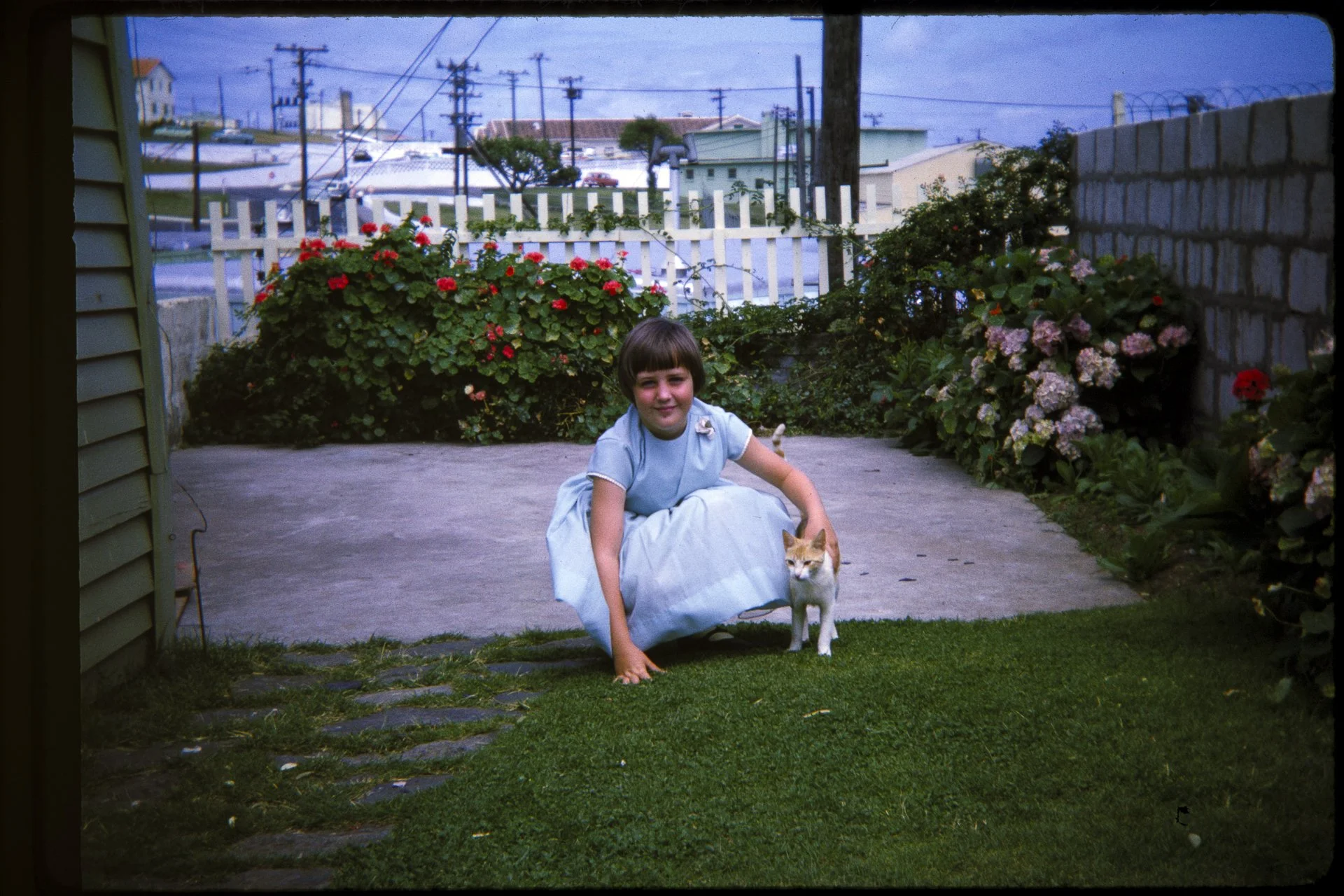 DA_Slide_5-0151.jpg