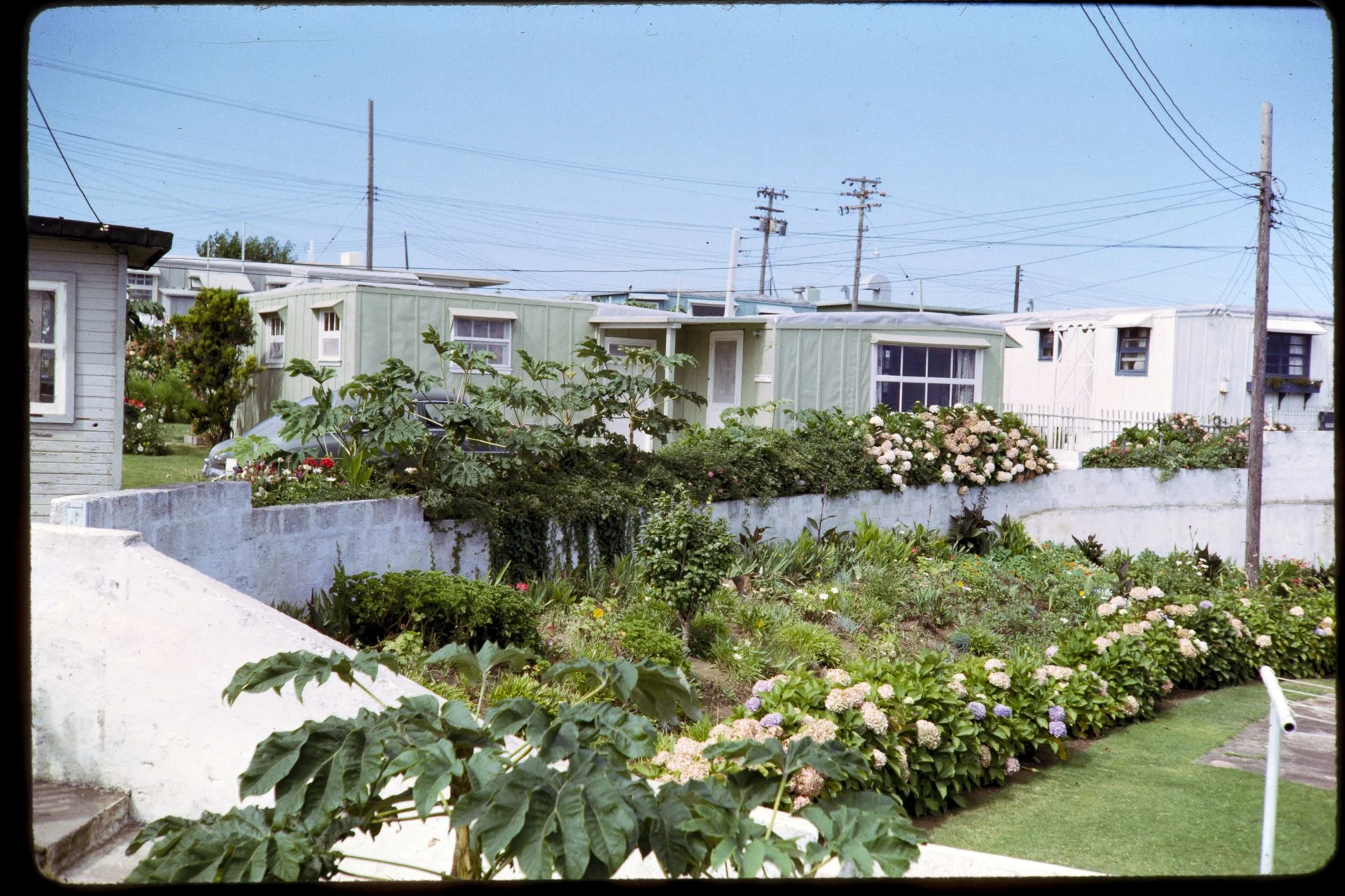 DA_Slide_02-0046.jpg