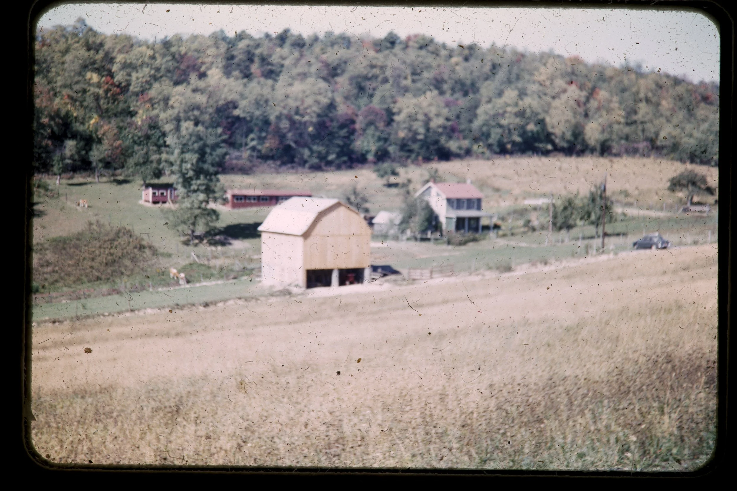DA_Slides-0050.jpg