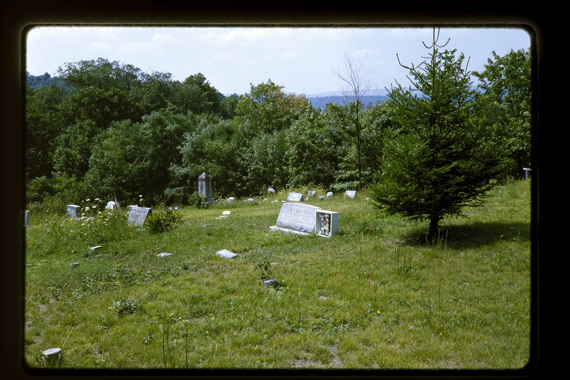 DA_Slide6-0025.jpg