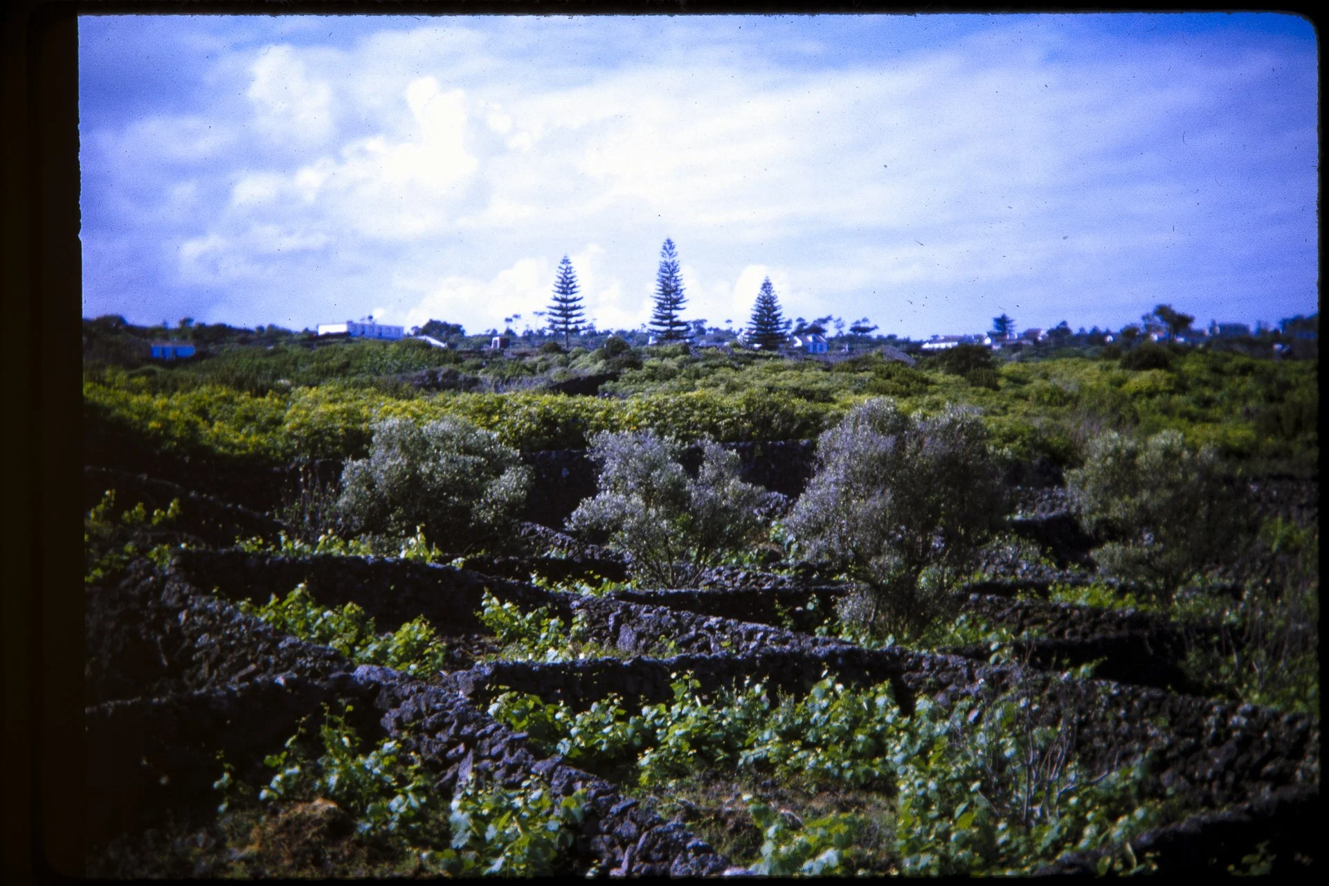 DA_Slide_5-0150.jpg