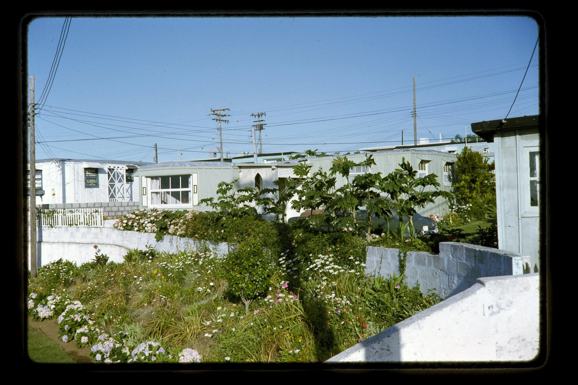 DA_Slide6-0017.jpg
