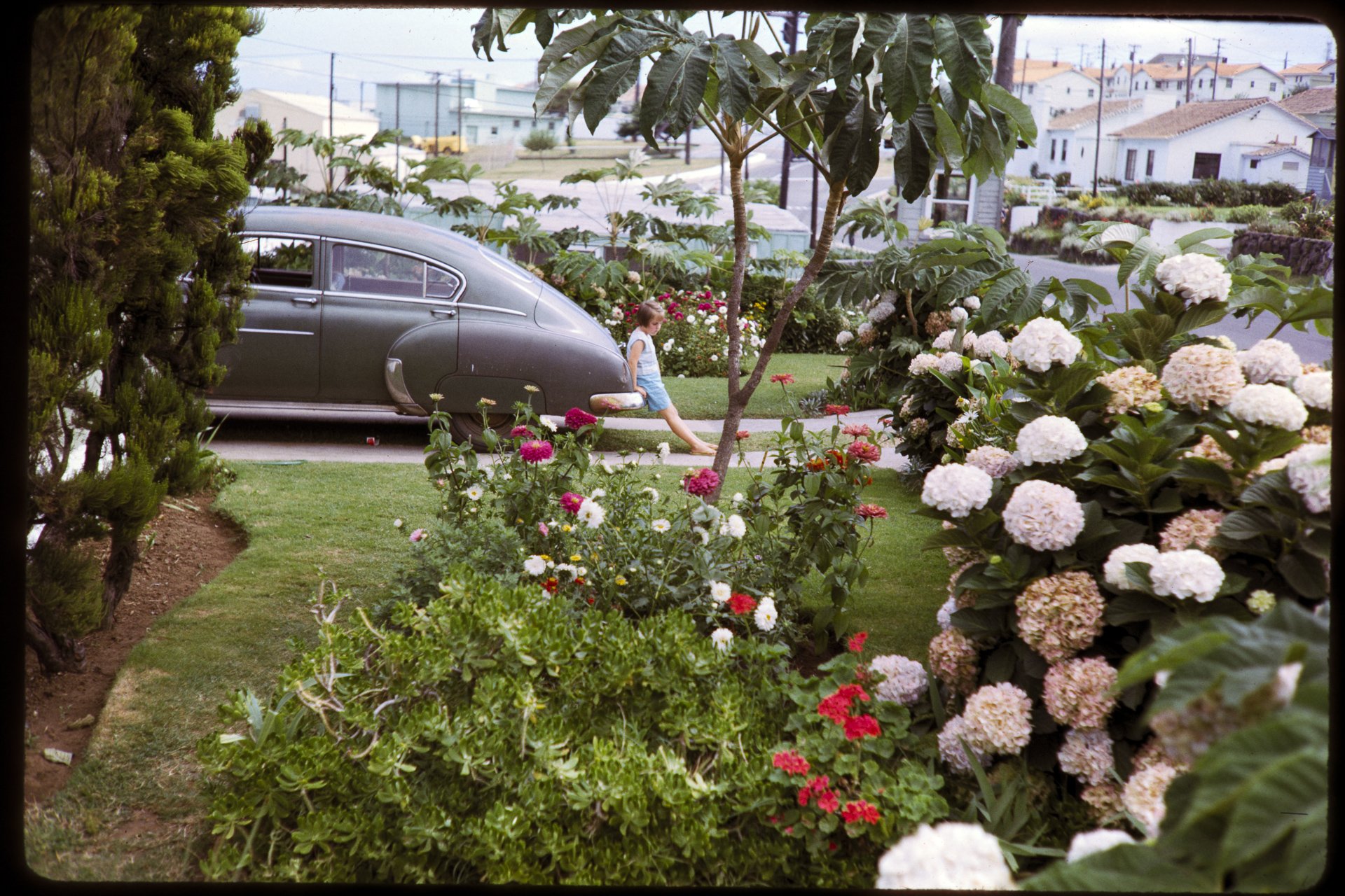 DA_Slide_02-0043.jpg