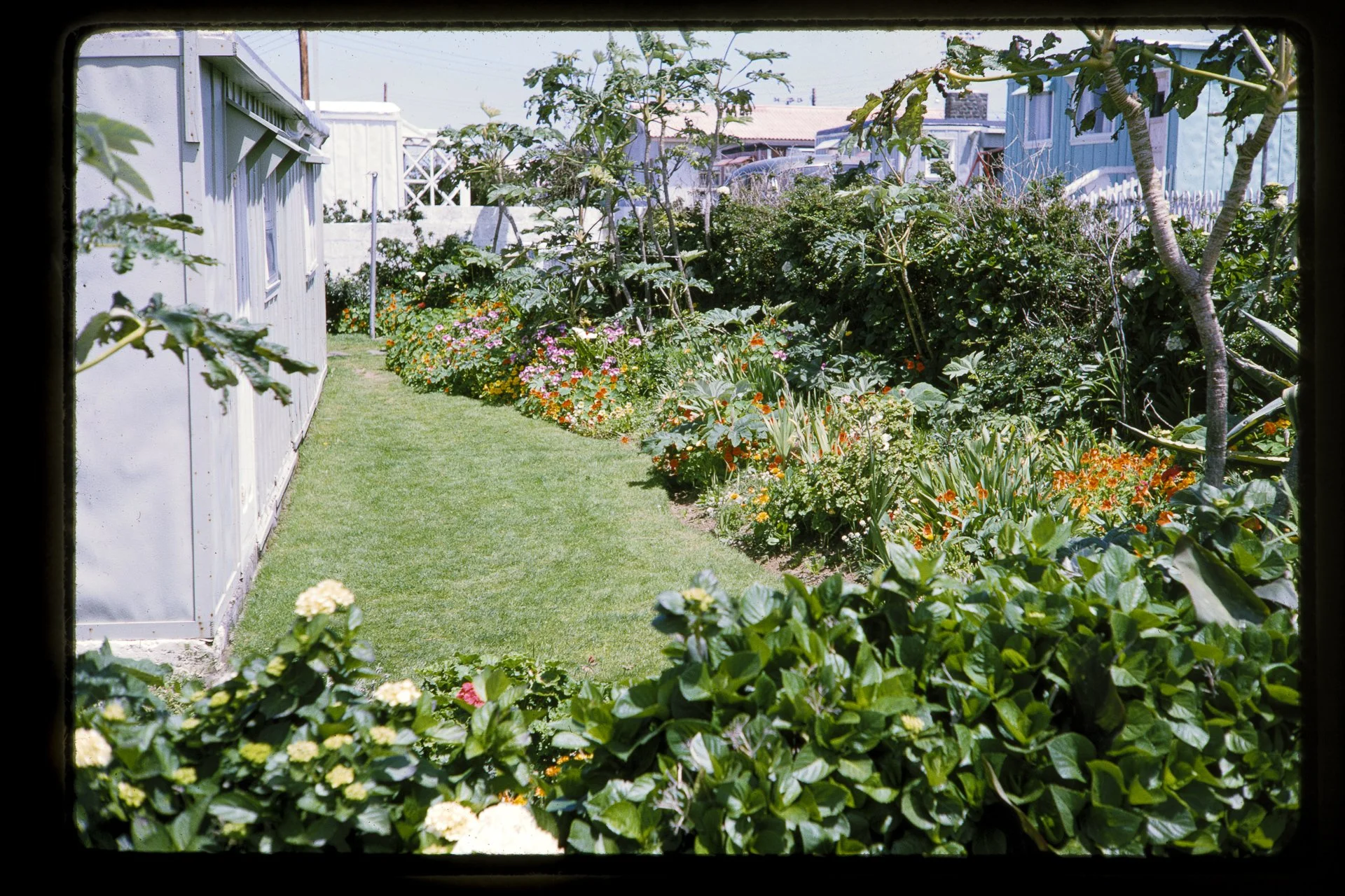 DA_Slide_8-0268.jpg