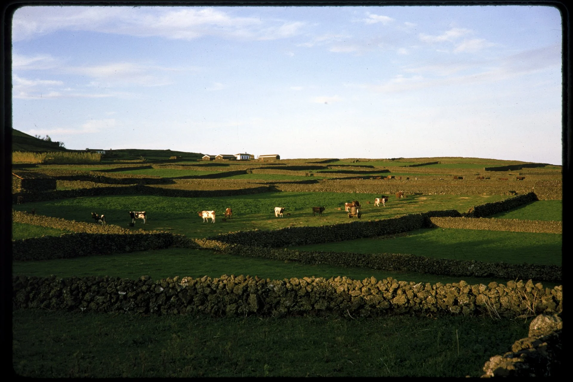 DA_Slide_C7-0101.jpg
