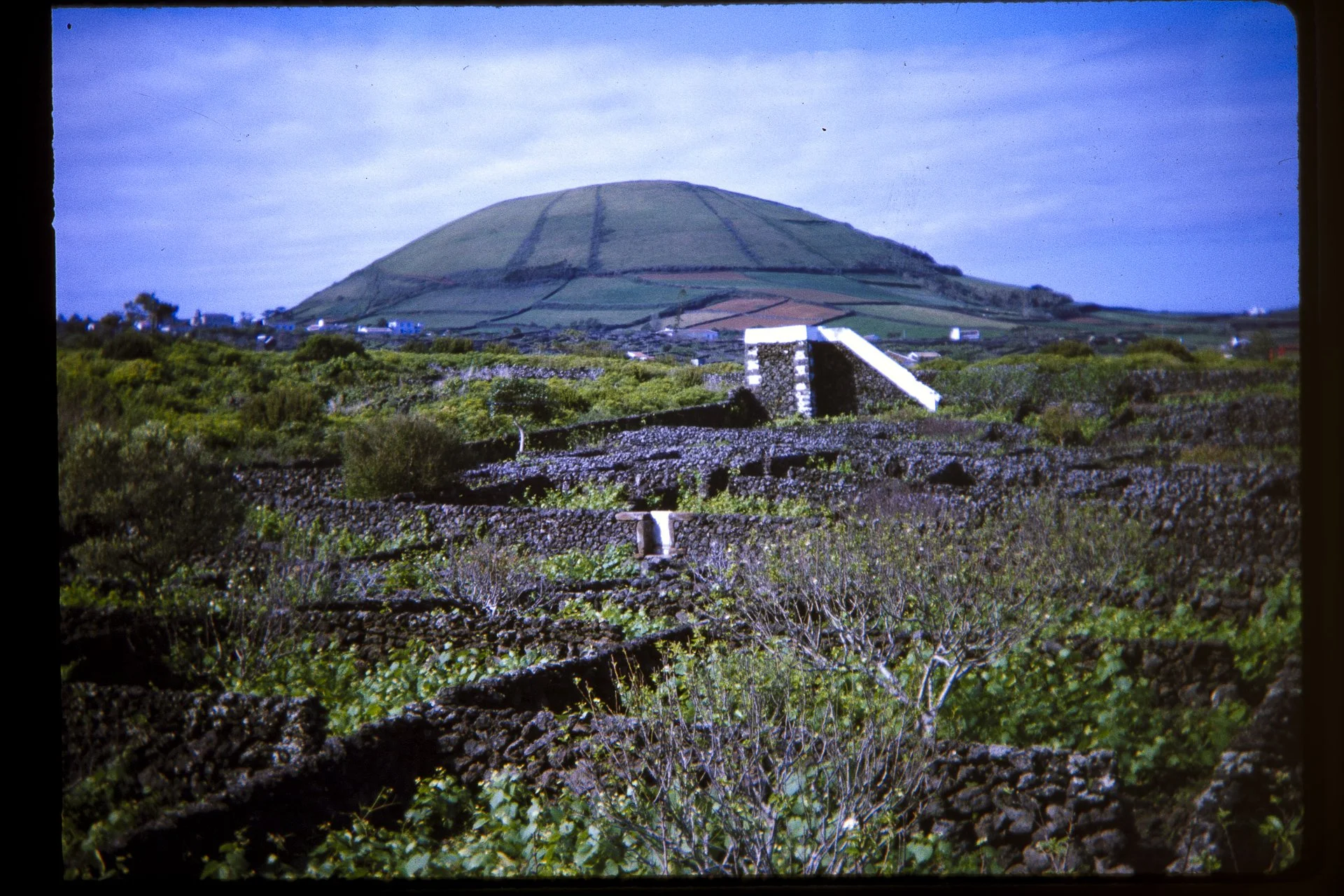 DA_Slide_5-0149.jpg